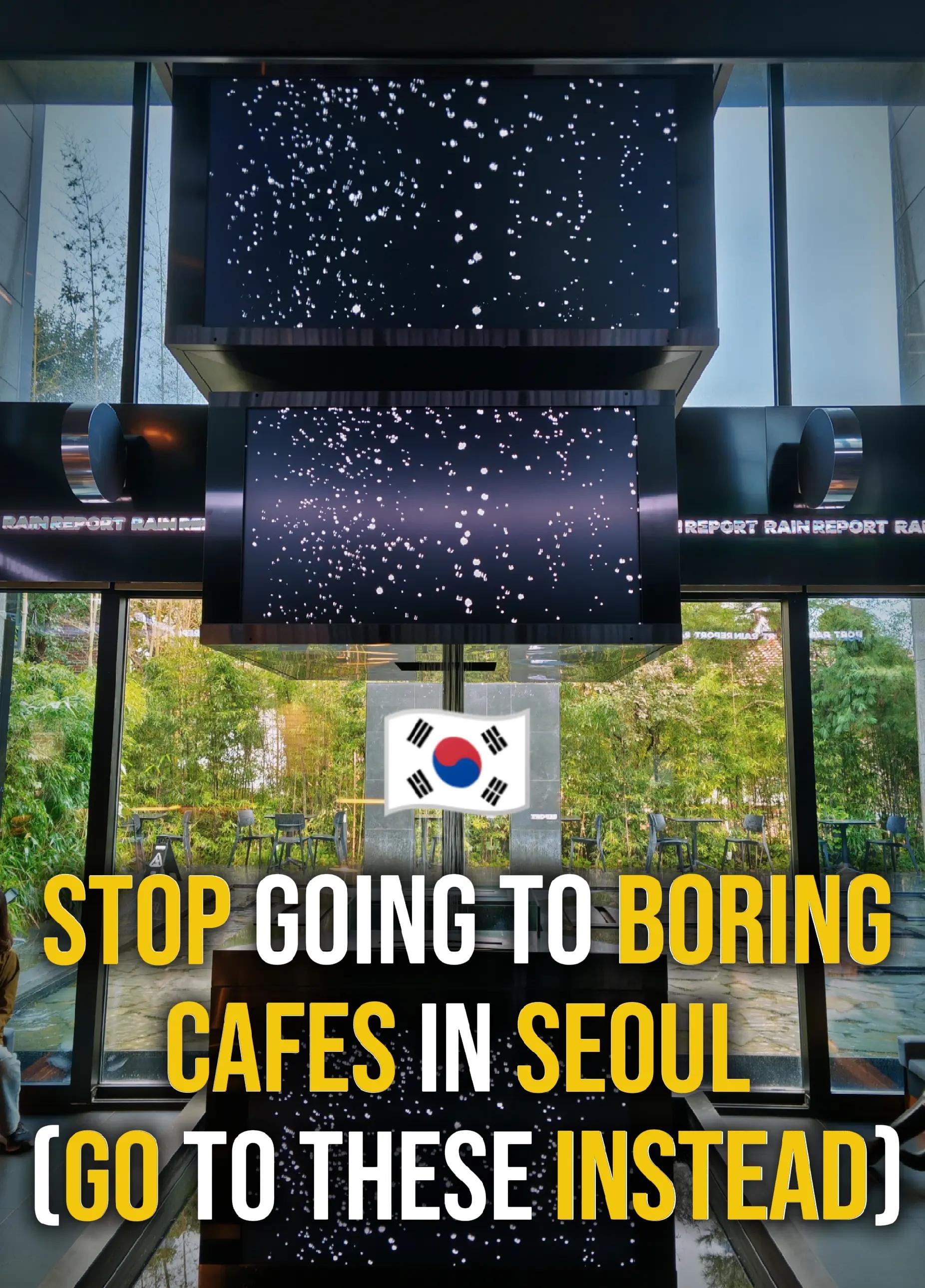 Seoul's Unique Cafes For Your Next Hopping Adventure