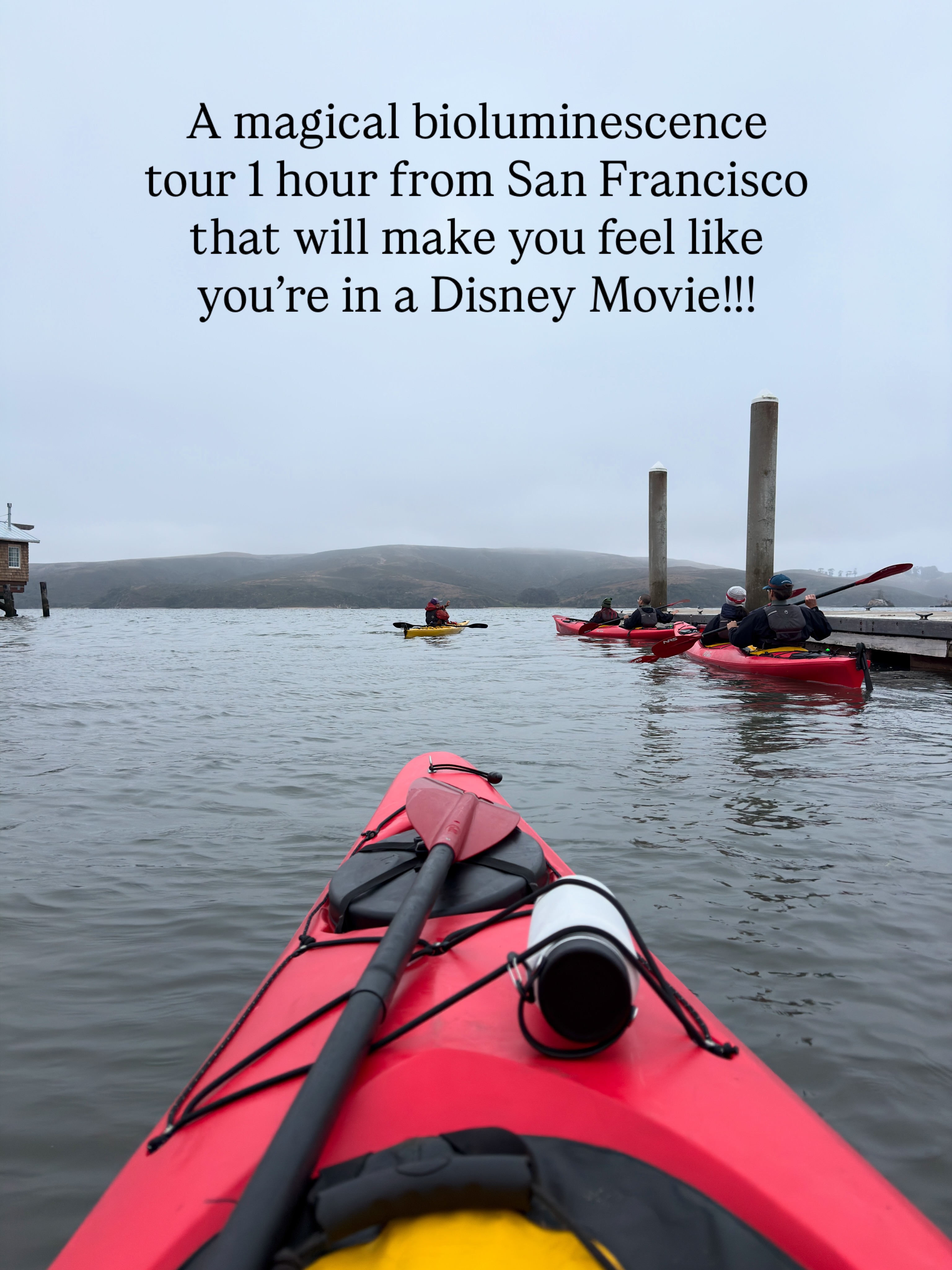 Kayaking Through Glowing Waters Near San Francisco