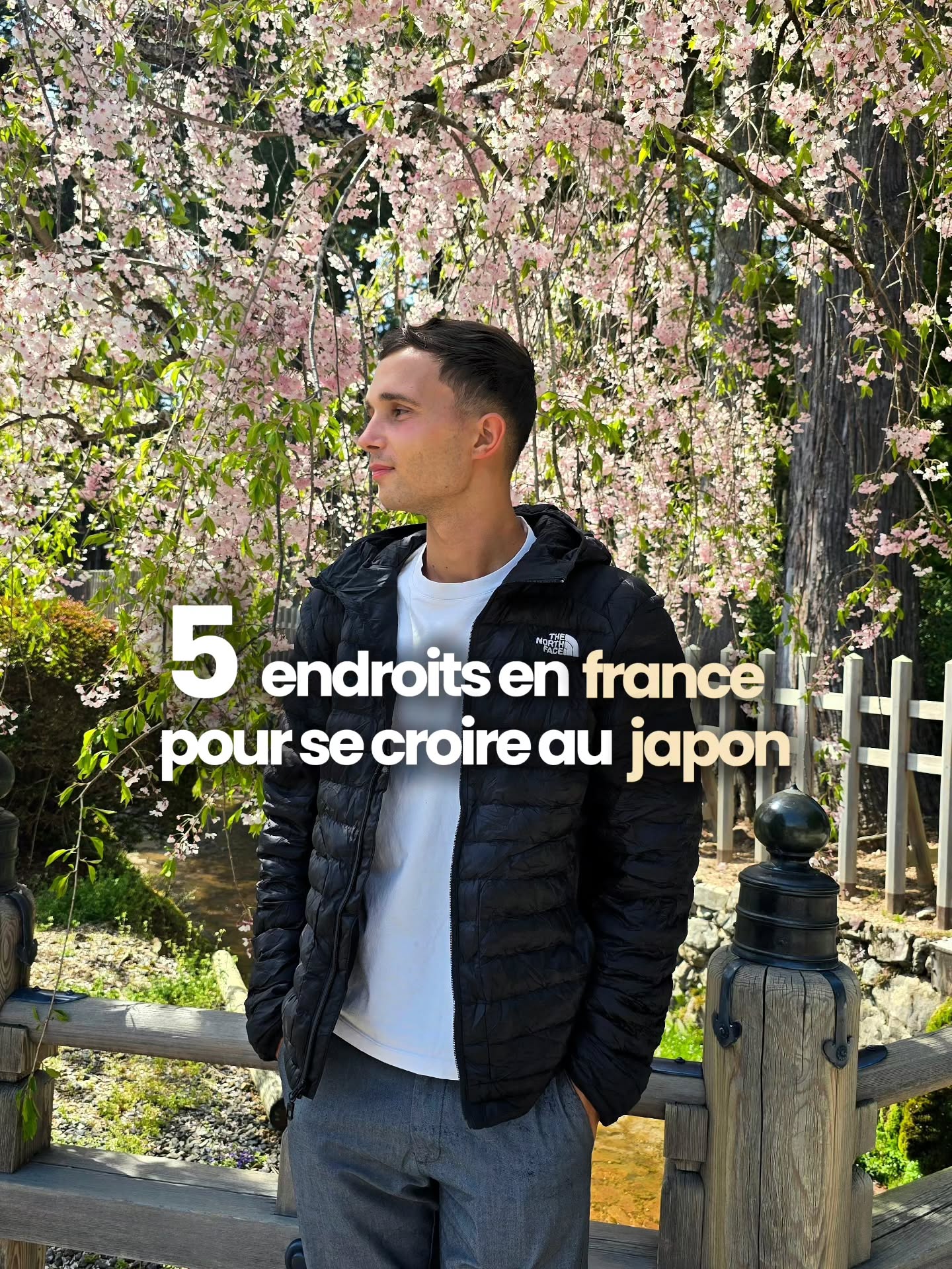 Gardens and Streets Featuring Japanese Culture