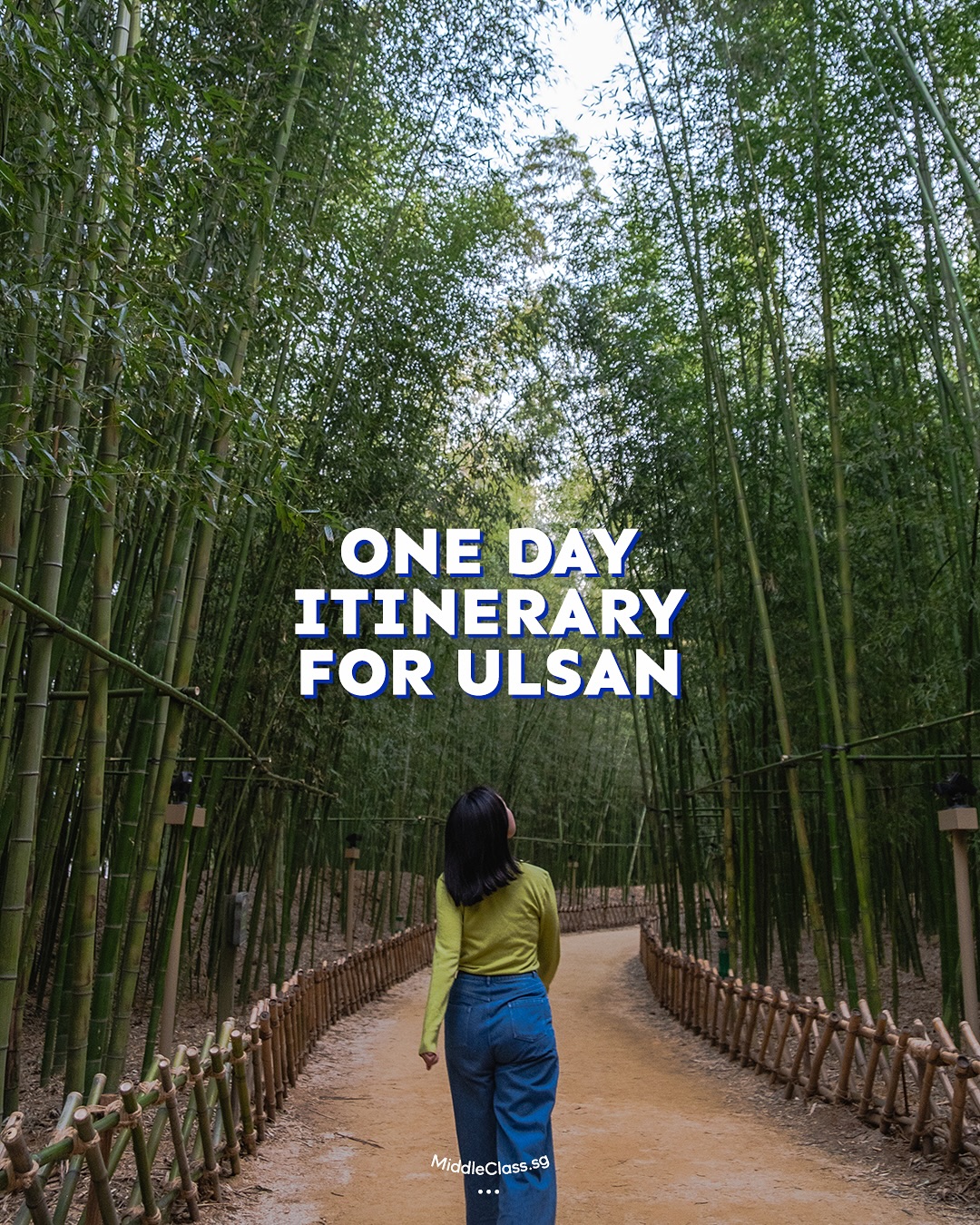 Ulsan Day Trip: Nature Parks and Whale Museum