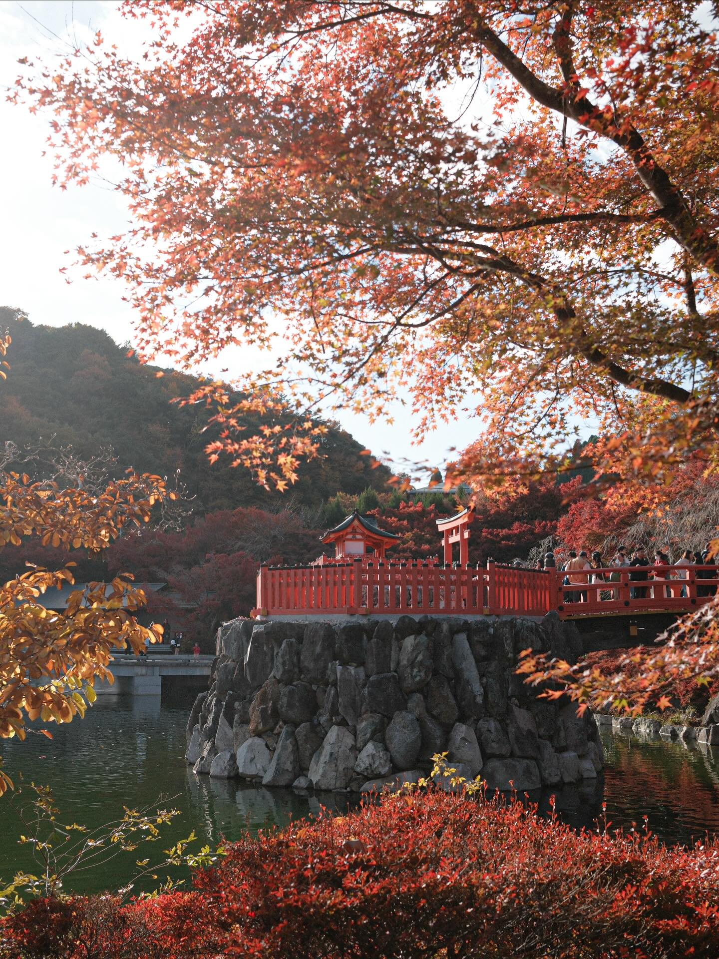 Katsuoji Temple's Autumn Beauty