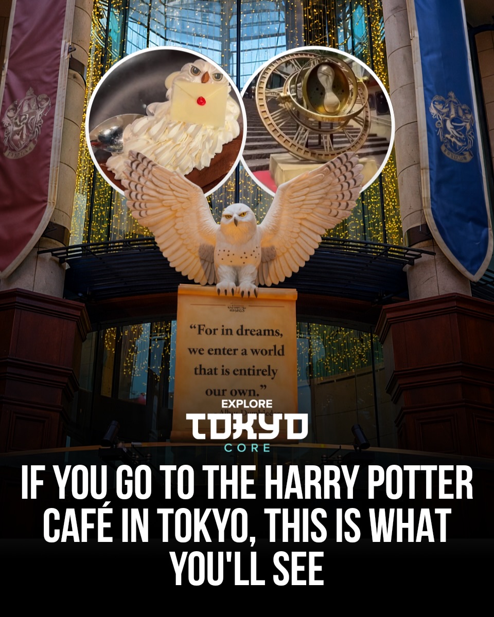 Tokyo's Harry Potter Cafes Offer Magical Dining Experiences