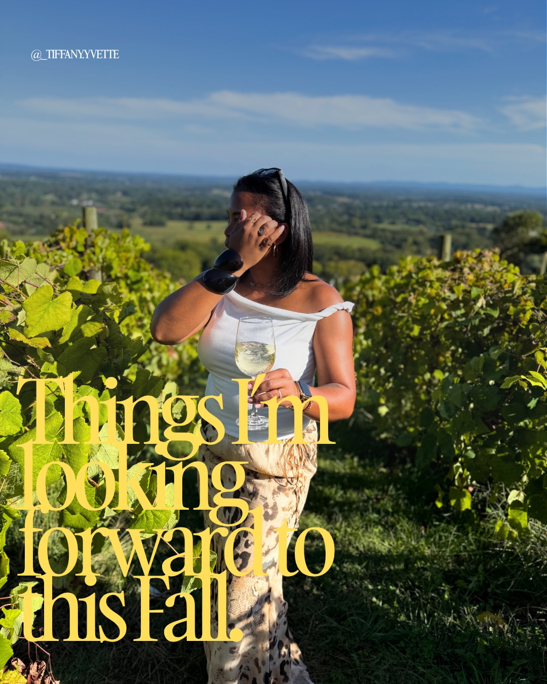 Vineyards, Orchards, and Wineries Offer Autumn Fun