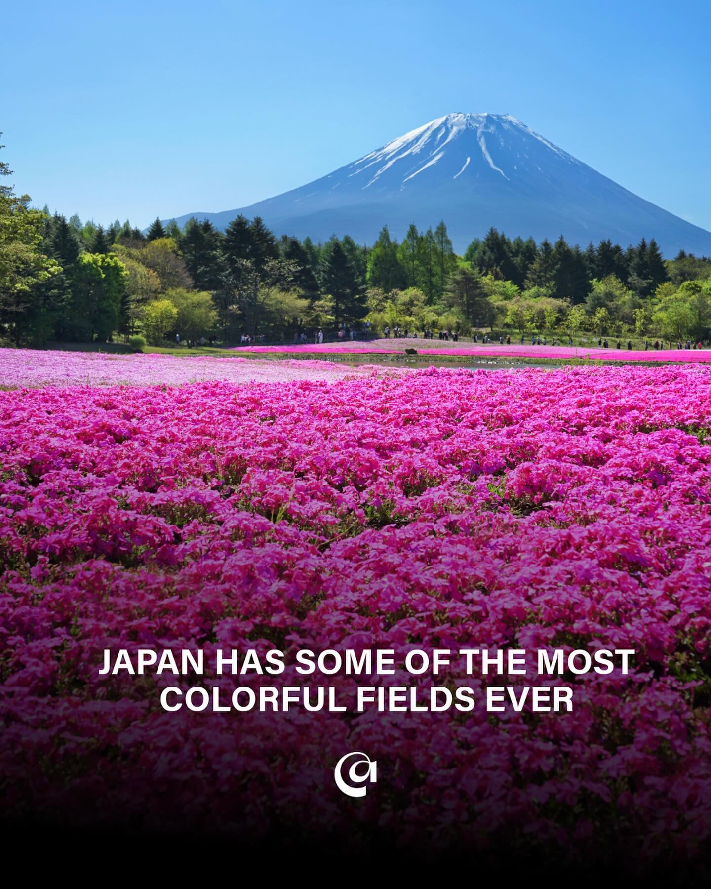 8 Places in Japan
