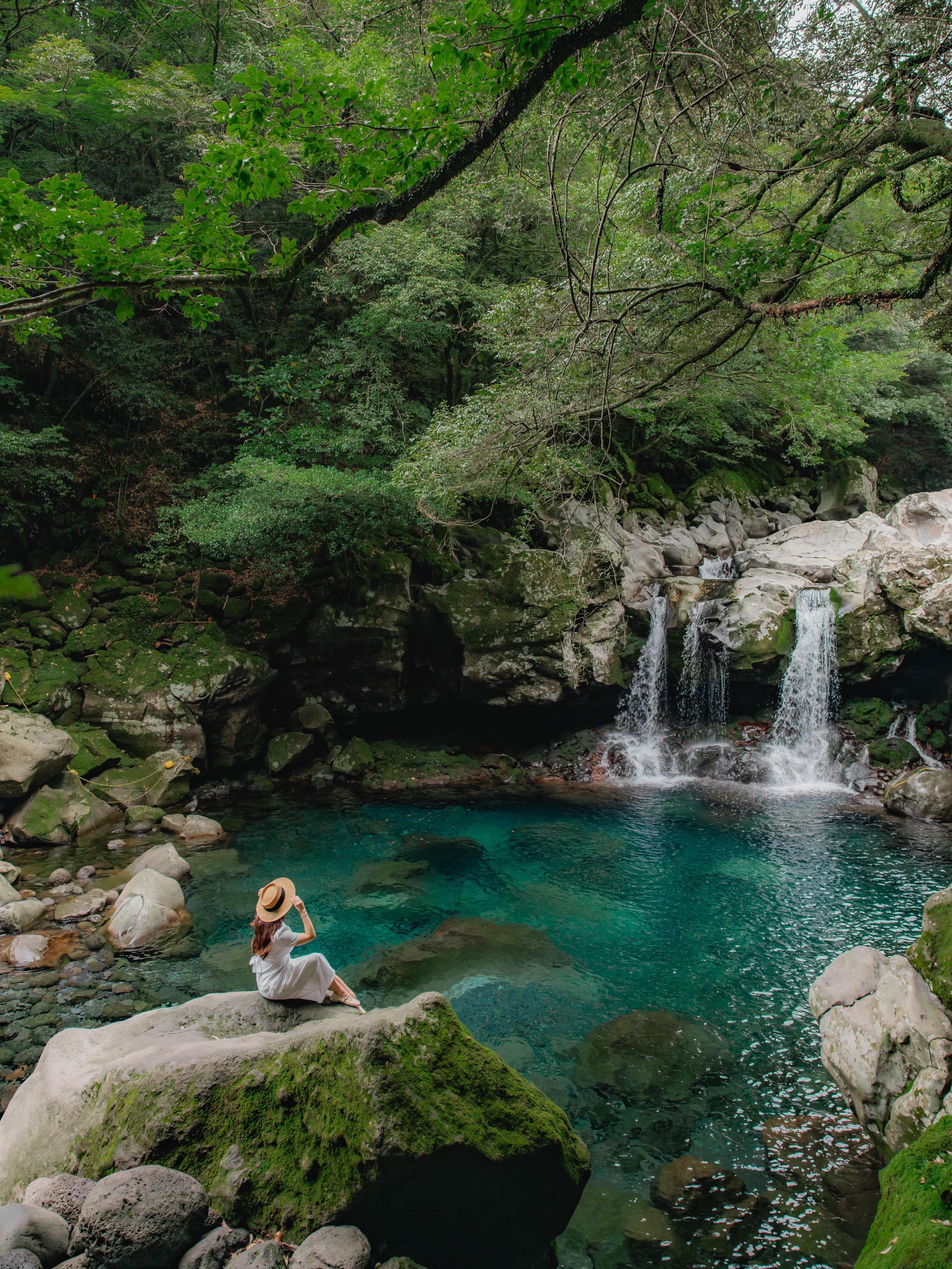 Jeju's Emerald Valleys With Icy Waterfalls