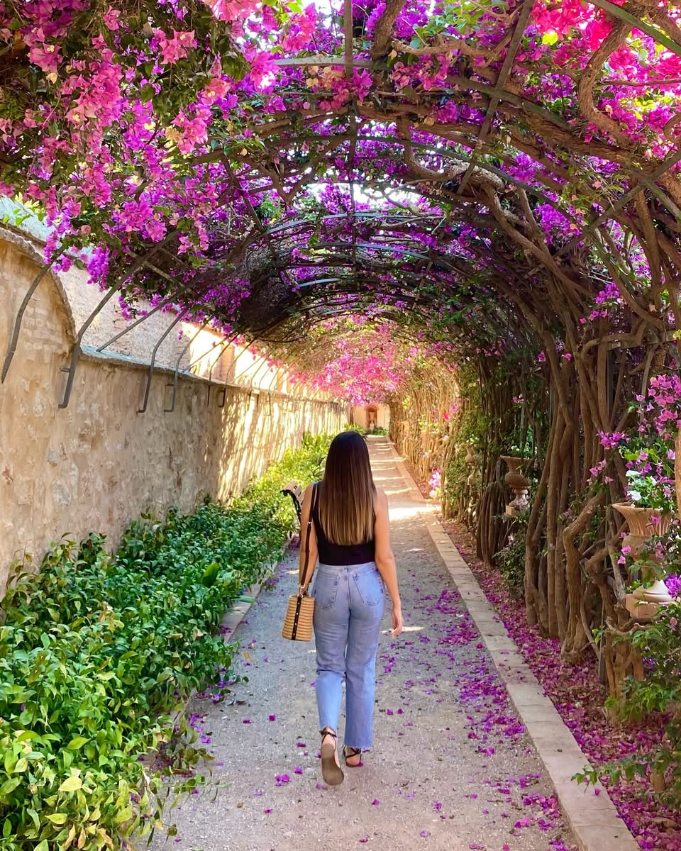 Monforte Garden's Romantic Corners