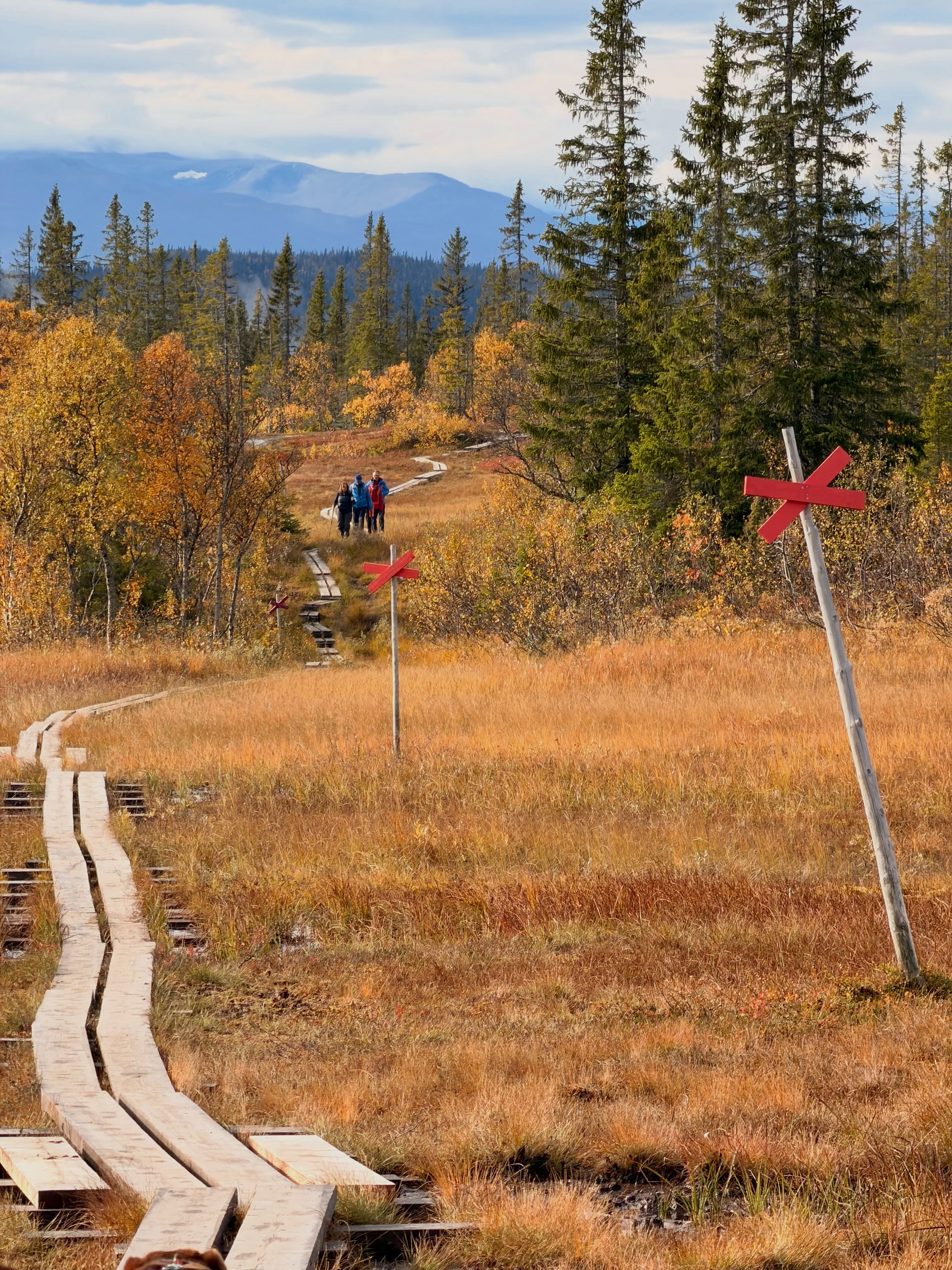 Mountain Hike to Classic Waffle Cottage