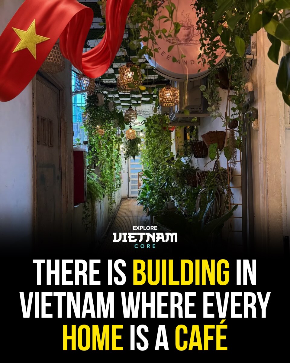 Ho Chi Minh City Building Features Cafes and Shops