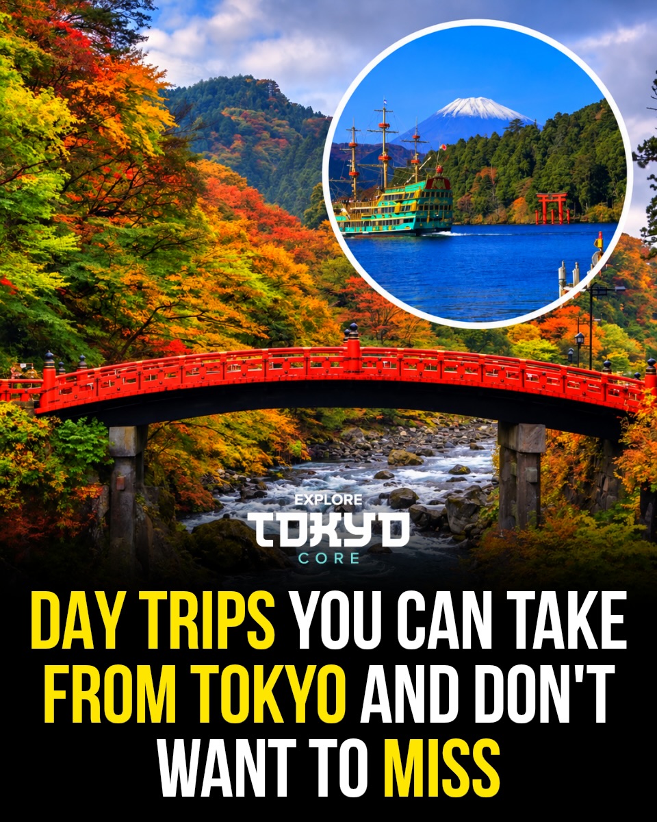 Tokyo Day Trips: Nature, Culture, and Historical Sites