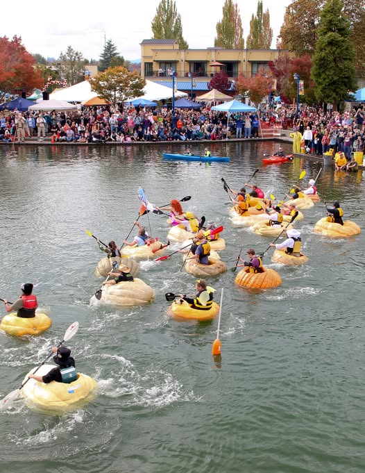 Giant Pumpkin Regatta Celebrates Fall Festivities