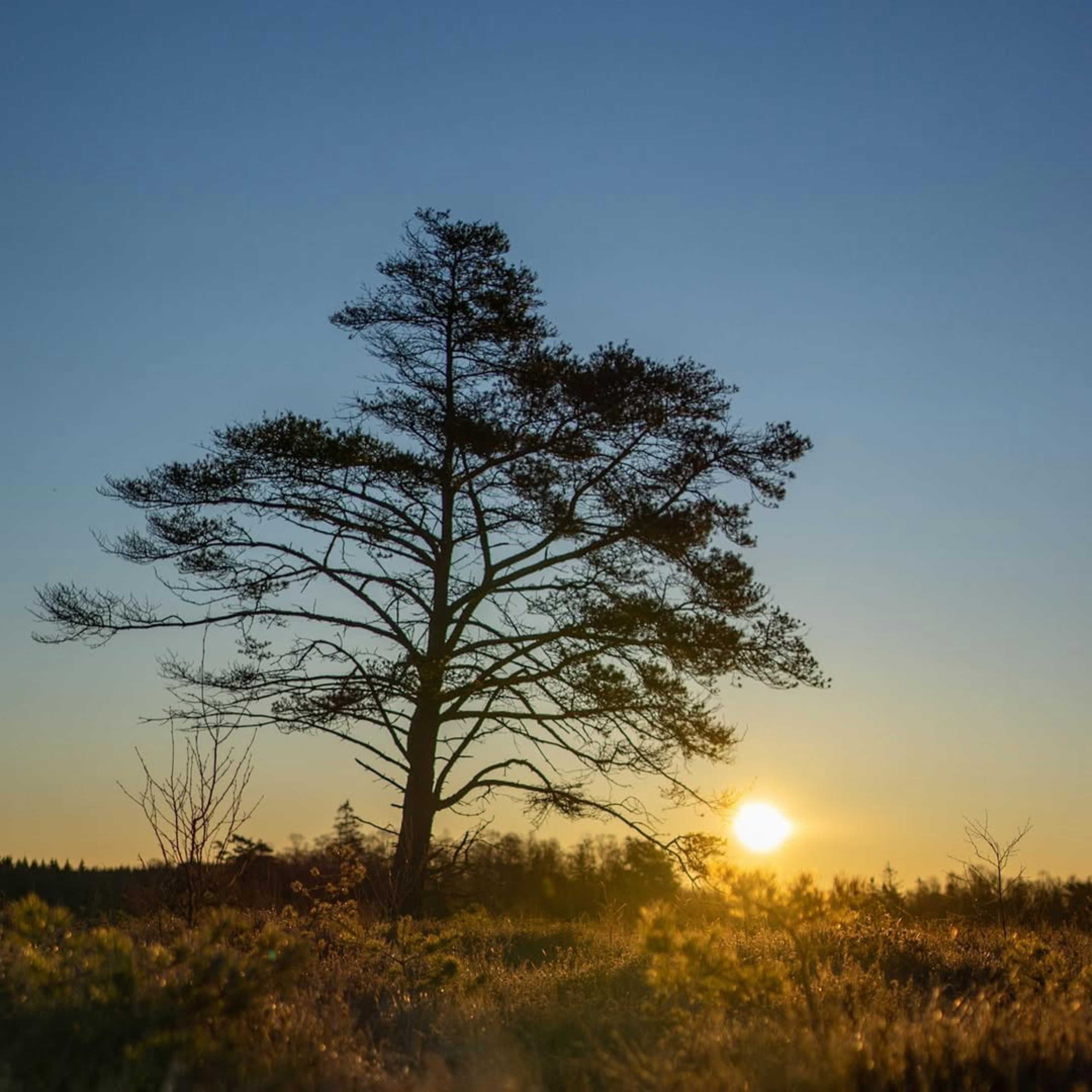 Sleep Outdoors in Klåveröd's Nature Reserve