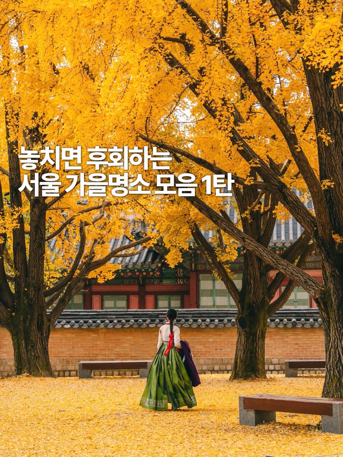 Seoul's Top Autumn Foliage and Ginkgo Destinations