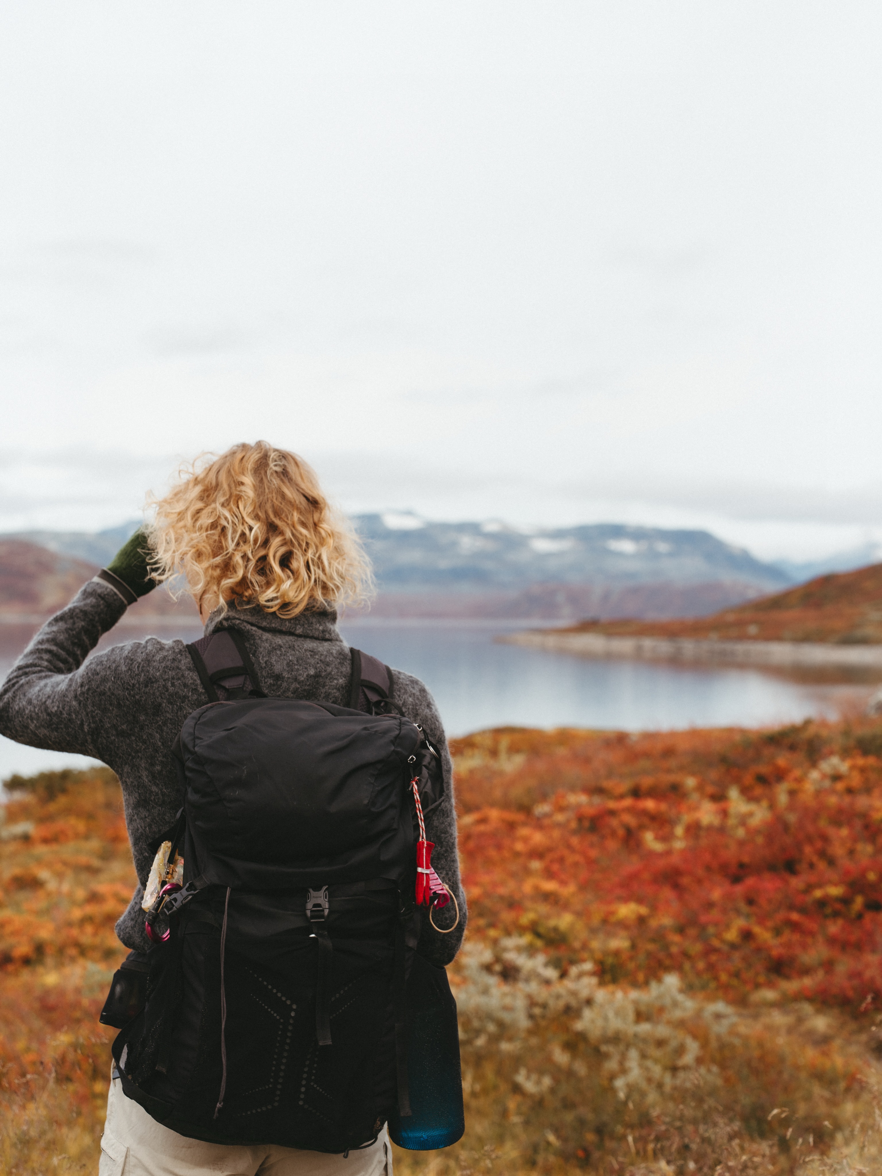 Norwegian Autumn Colors Peak At Horntind