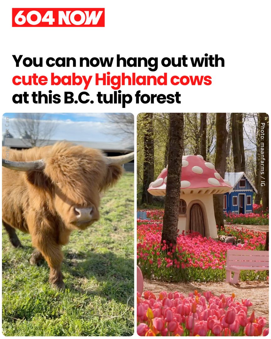 Farm Event Features Tulip Forest and Teapot House