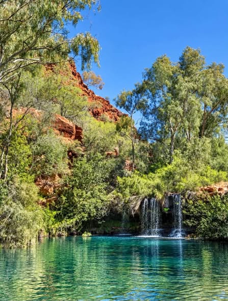 National Parks With Cooling Fern Pools