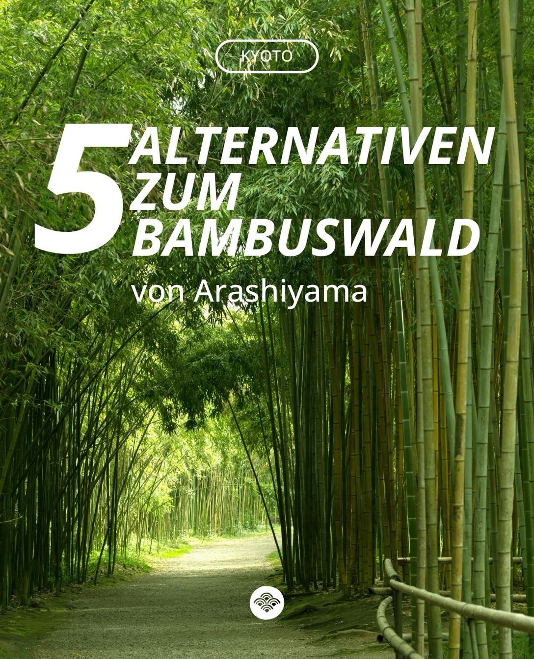 Kyoto's Serene Bamboo Groves and Temples