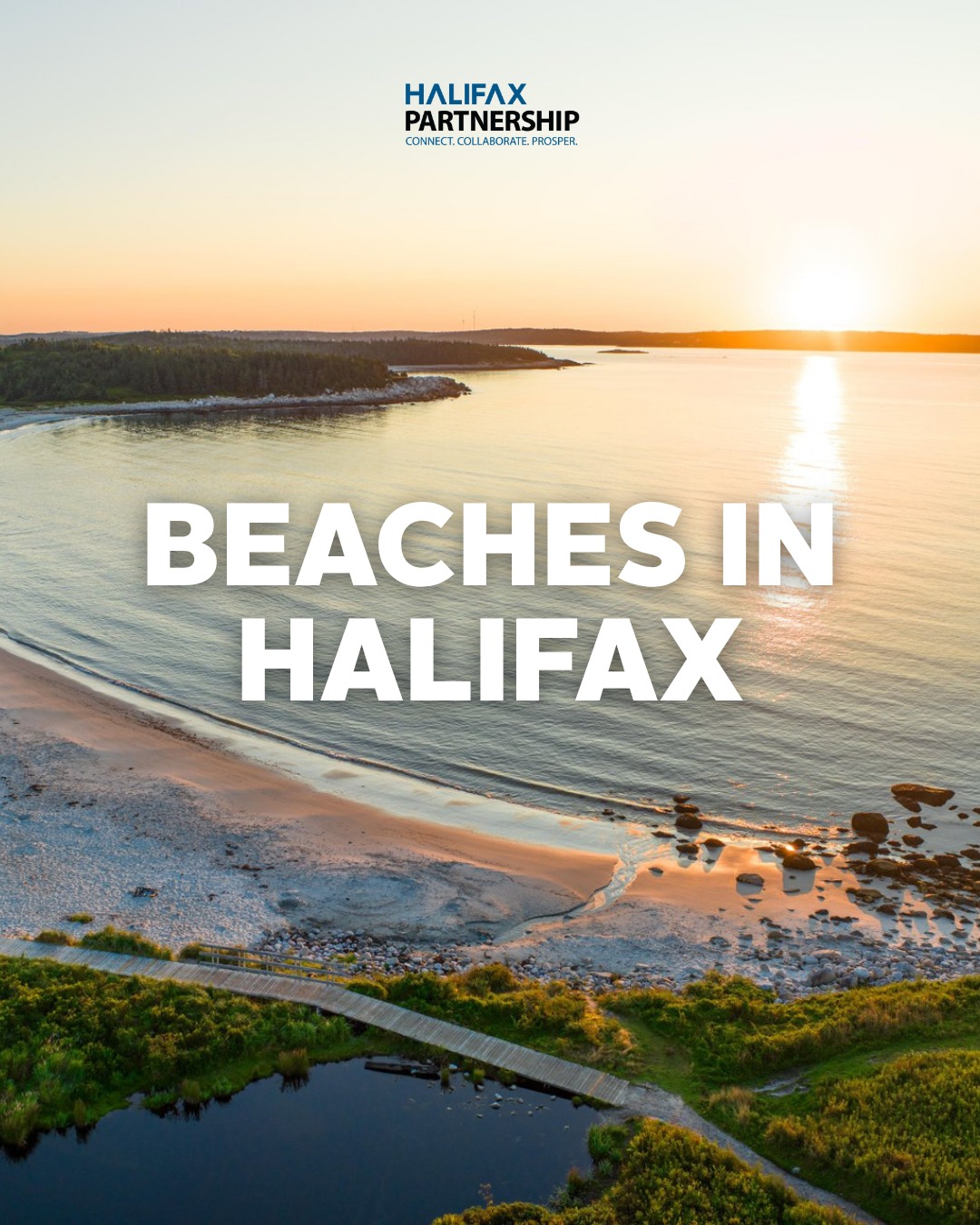 Nova Scotia's Top Coastal Beach Destinations