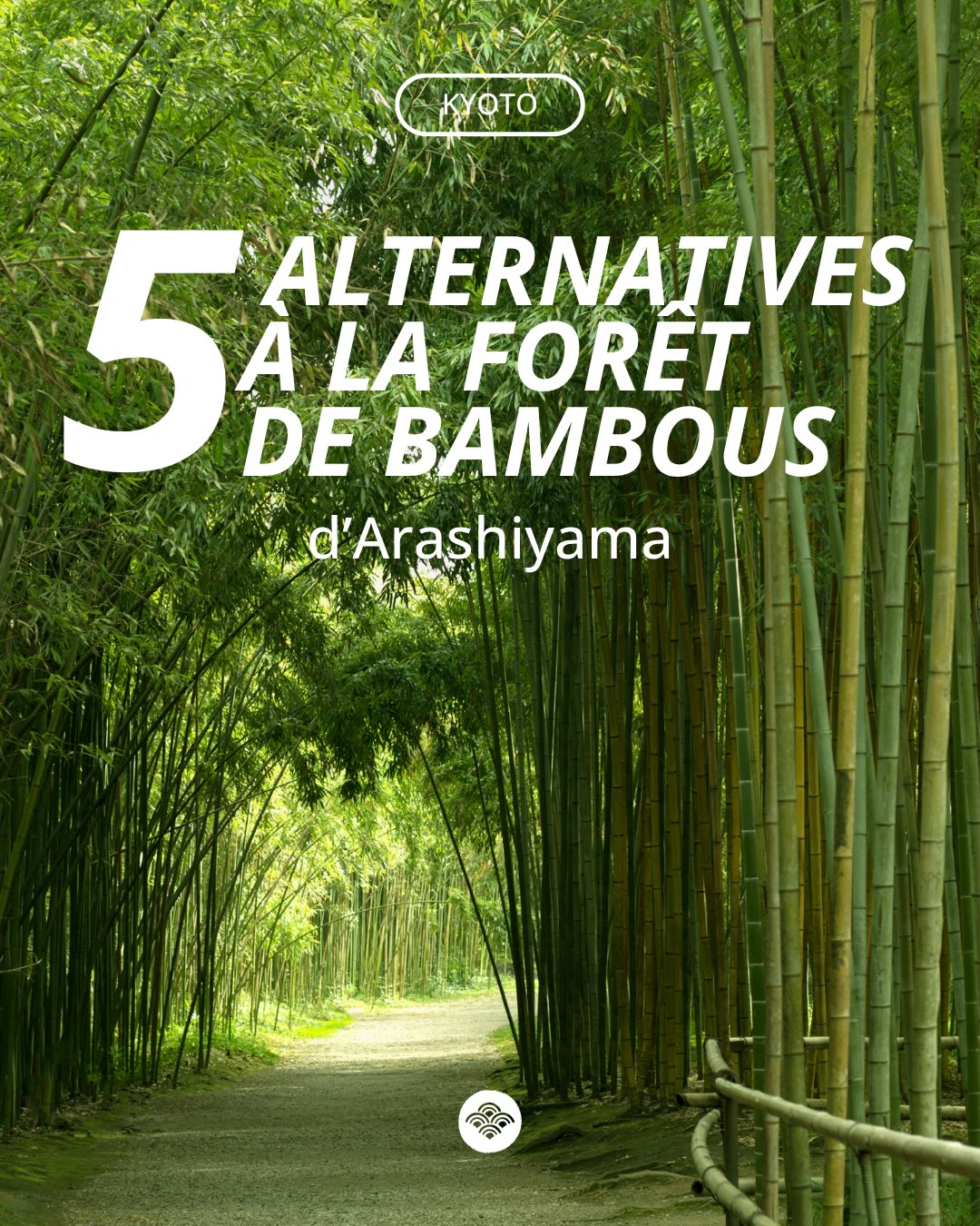 Kyoto's Serene Bamboo Groves Beyond Arashiyama