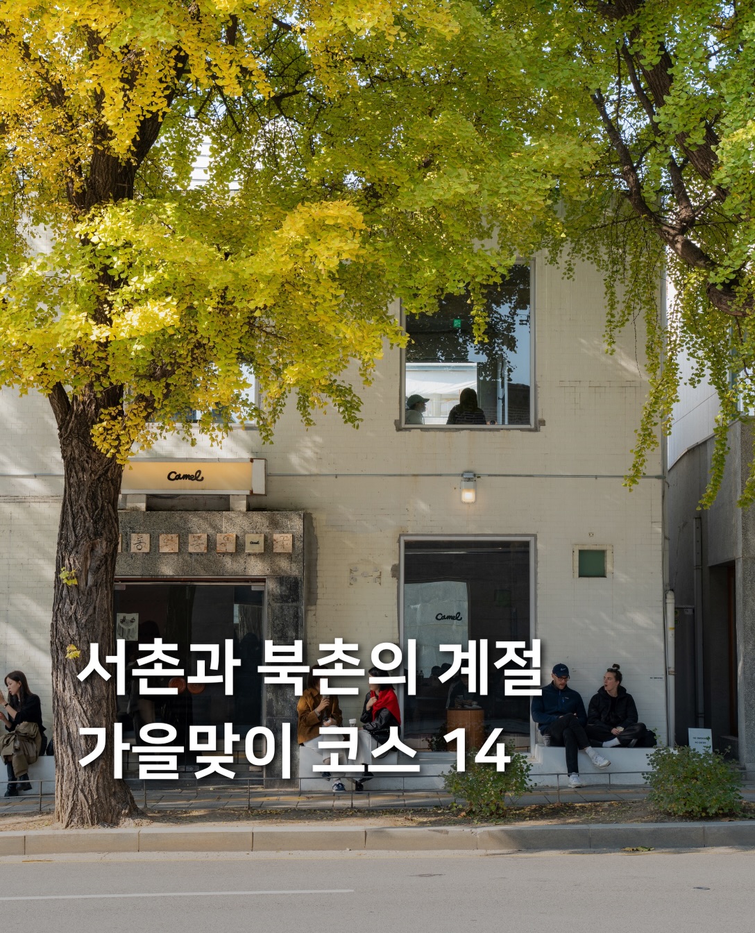 Autumn Exploration of Seochon and Bukchon