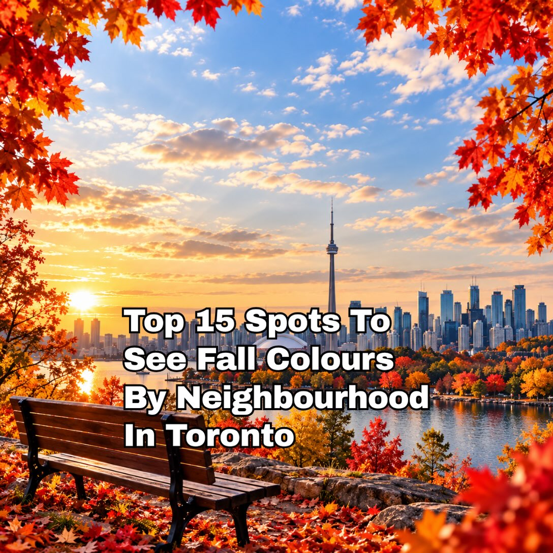 Toronto's Best Parks For Autumn Leaf Peeping