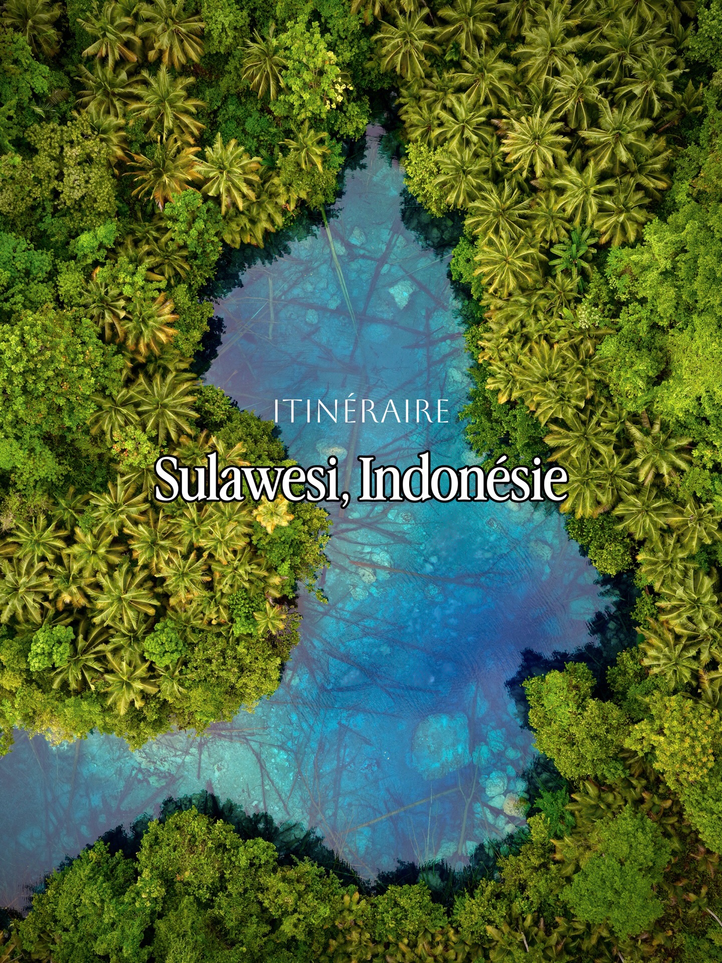 Sulawesi's Untamed Nature and Welcoming Culture