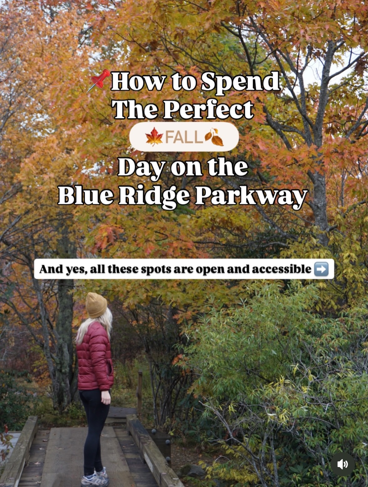 Blue Ridge Parkway Fall Colors Early October