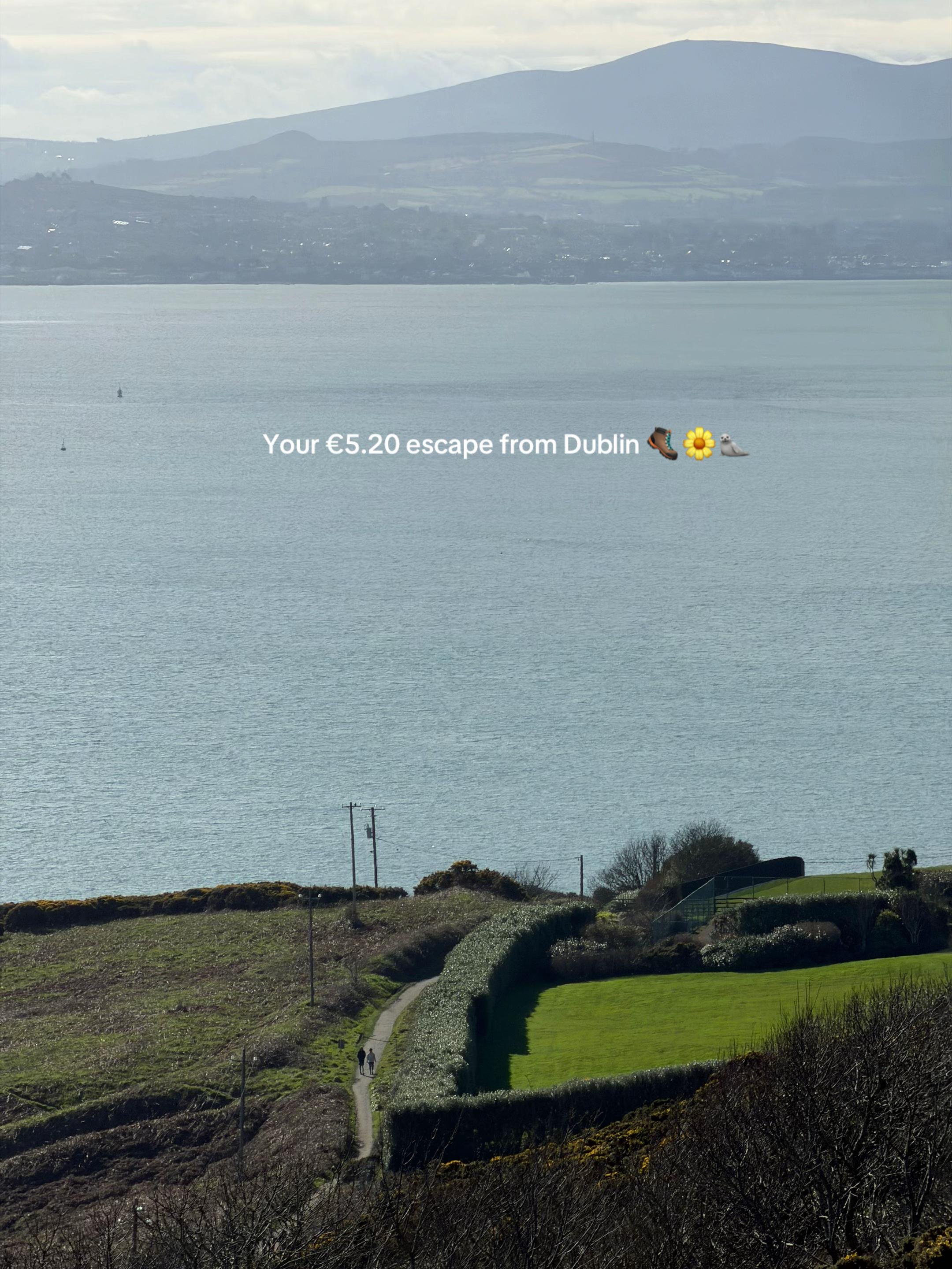 Coastal Walks and Lighthouses of Howth