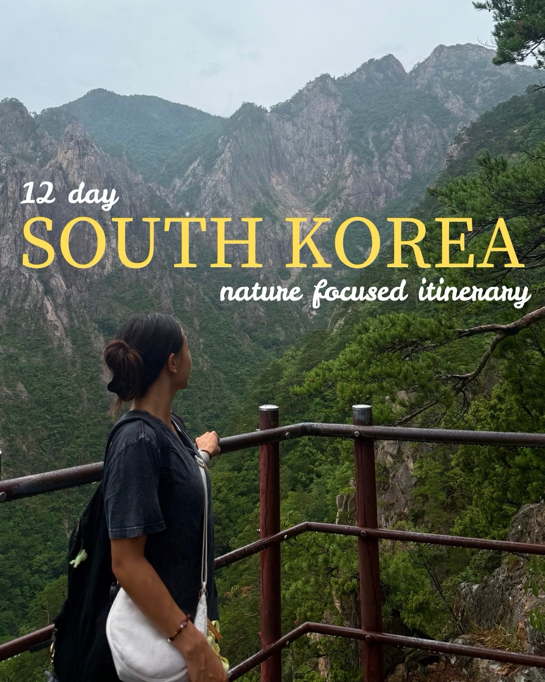 South Korea Nature and City Tour Itinerary