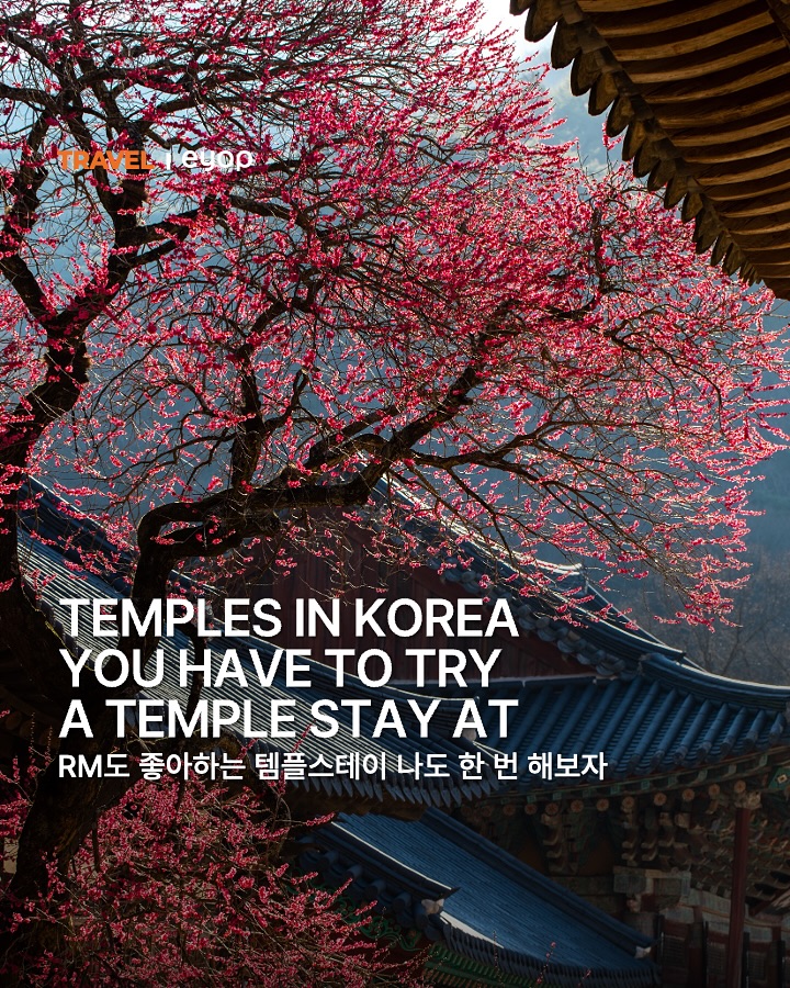 Ten Must-Visit Korean Buddhist Temples For Stays