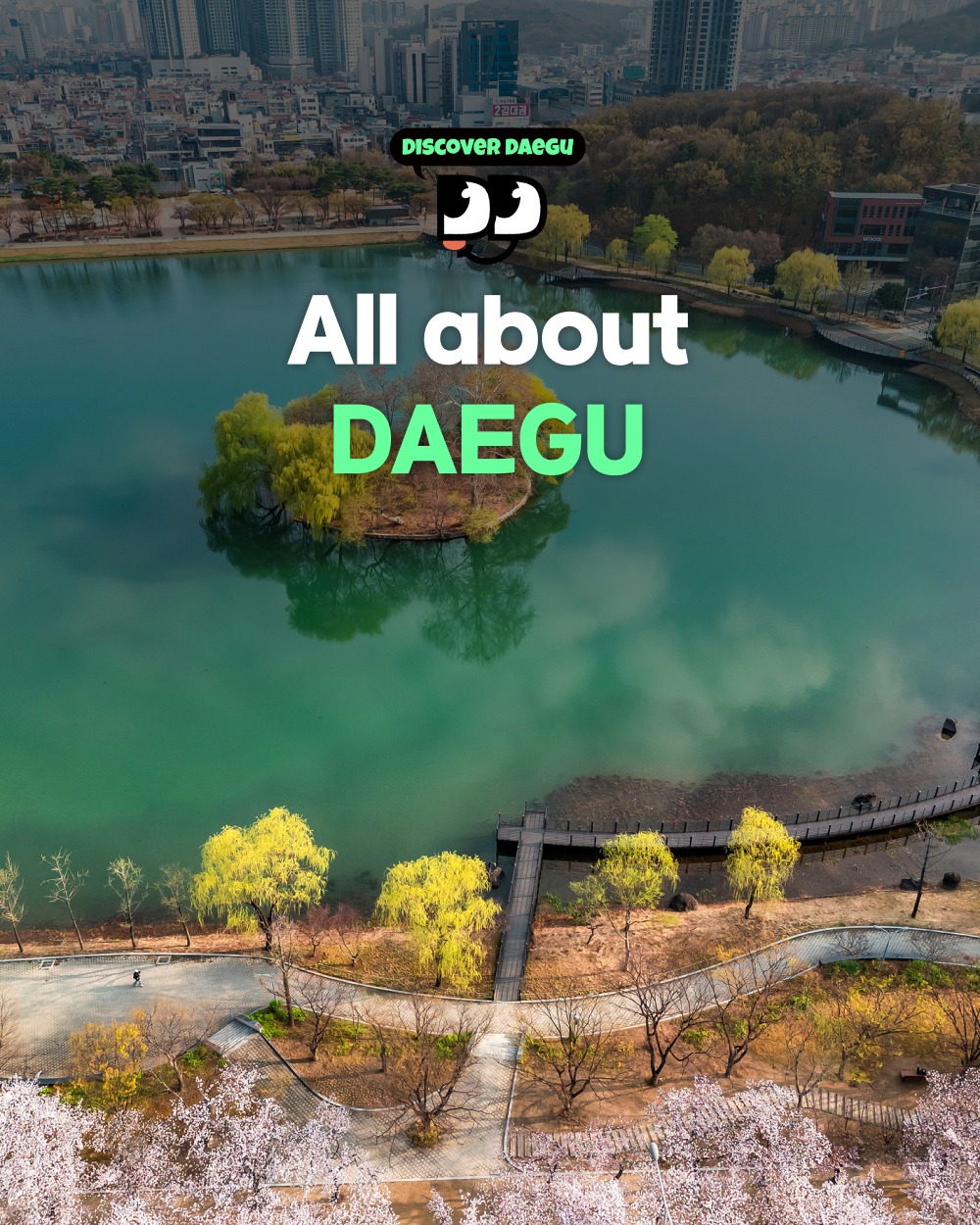 Daegu's Top Attractions and Tourist Information