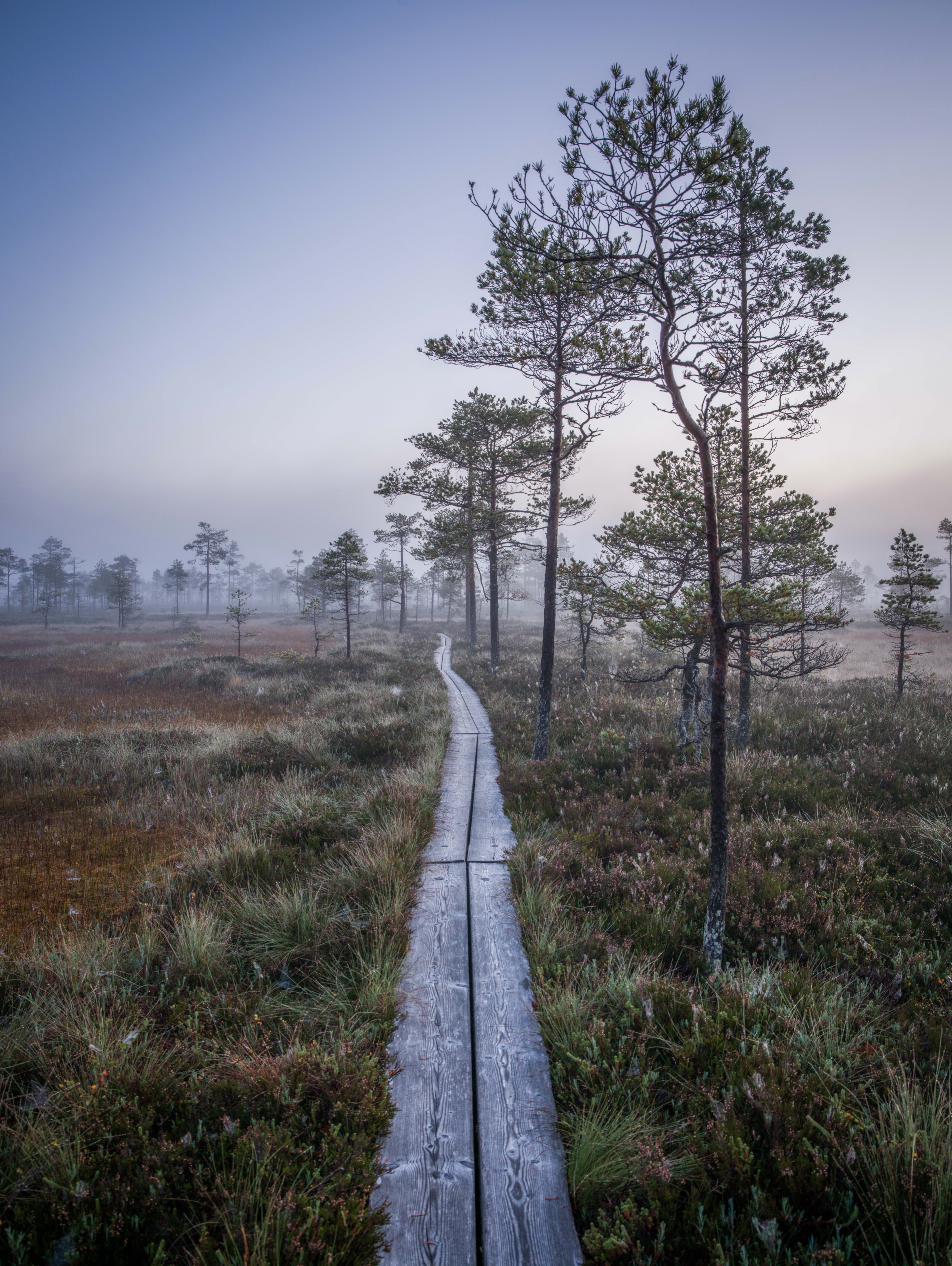 Kauhaneva-Pohjankangas National Park Nature