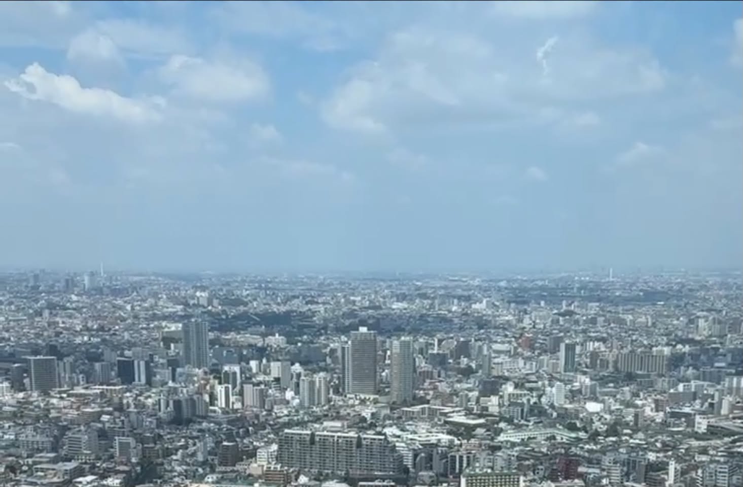 Shinjuku Restaurant Offers High-Altitude Japanese Dining