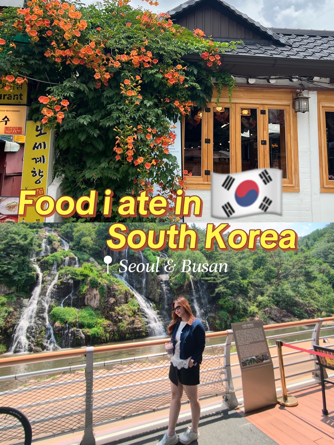 Korean Food and Desserts in Seoul and Busan