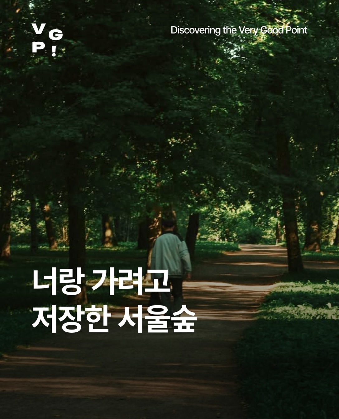 Seoul Forest Area Attractions For A Relaxing Day