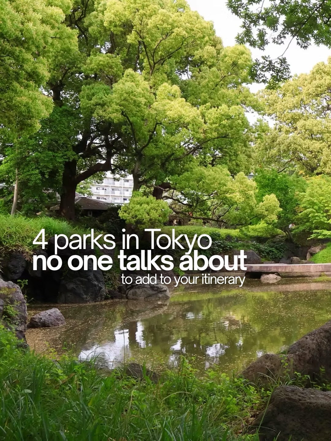 Tokyo's Hidden Green Spaces and Gardens