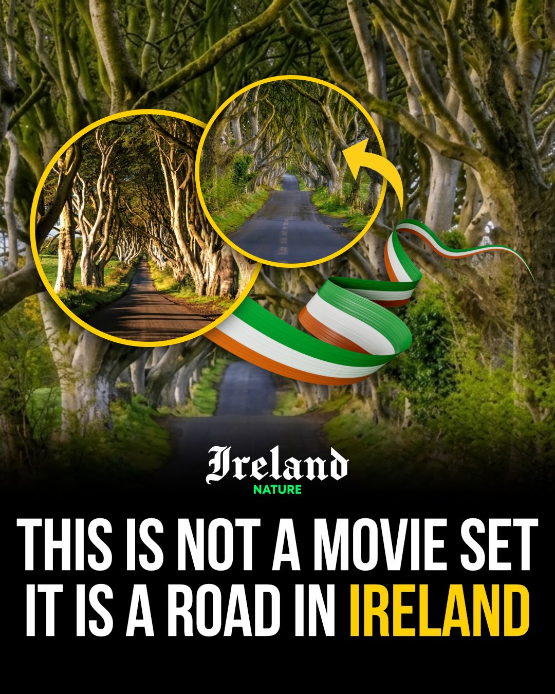 Northern Ireland's Fairytale Road: The Dark Hedges