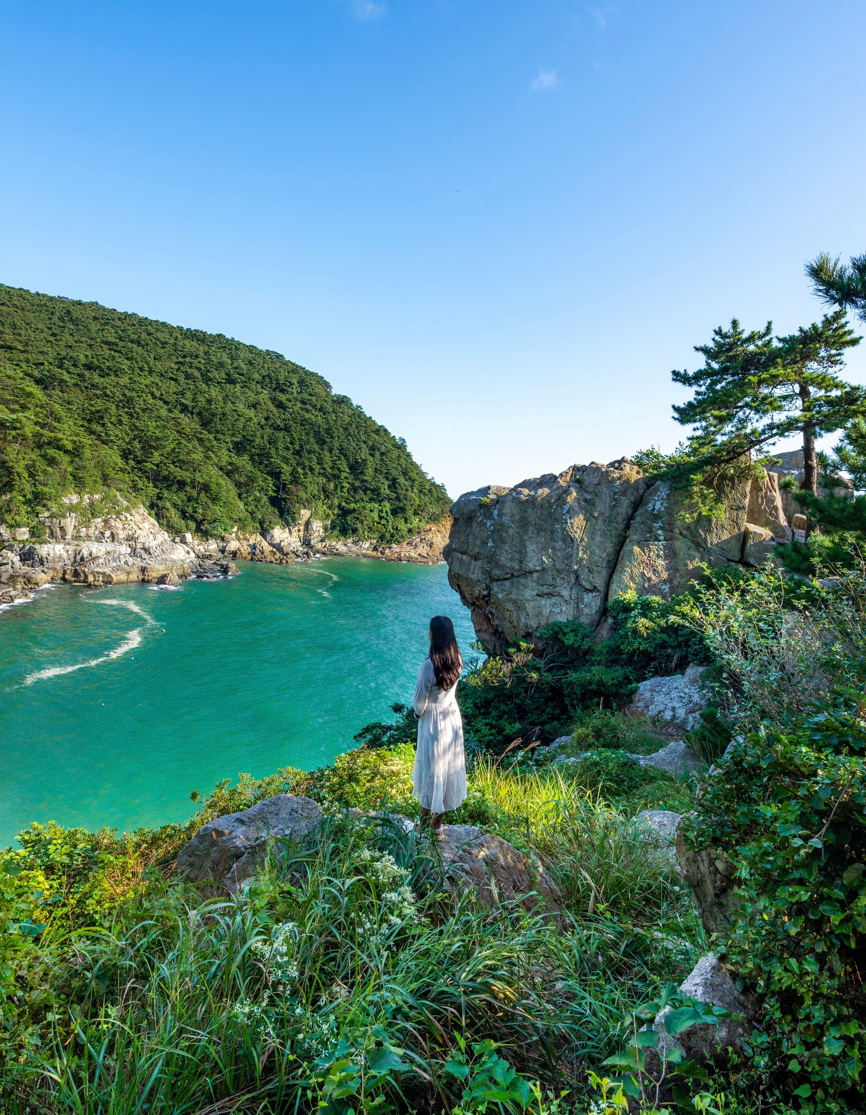 Discover Busan's Unique Hidden Gems and Cafes
