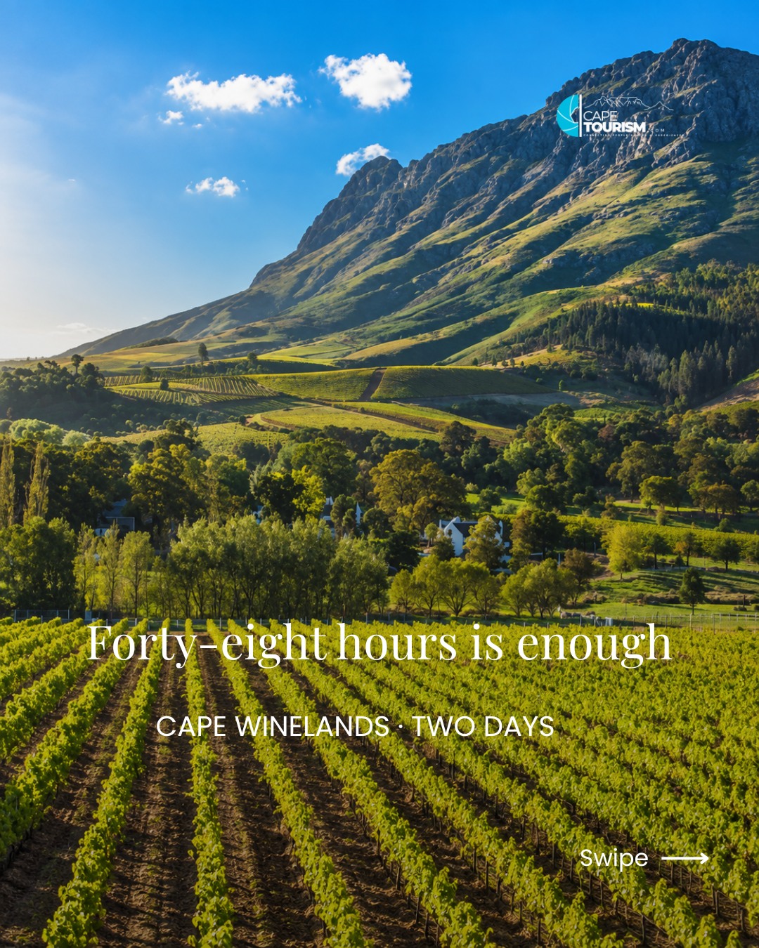 Cape Winelands: Wine, Cheese, and Prison History