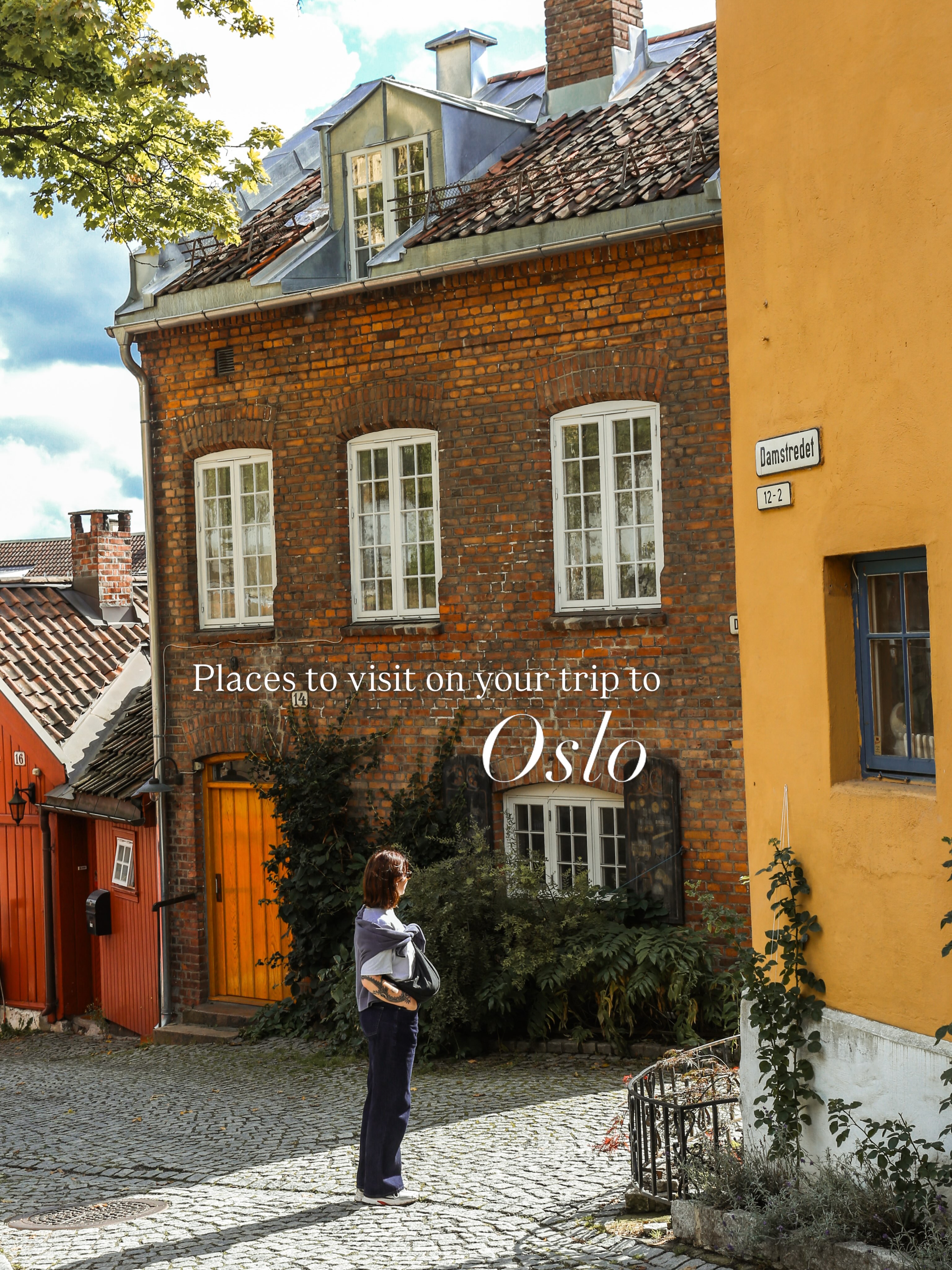 Oslo's Top Vegan Eateries and Cultural Spots