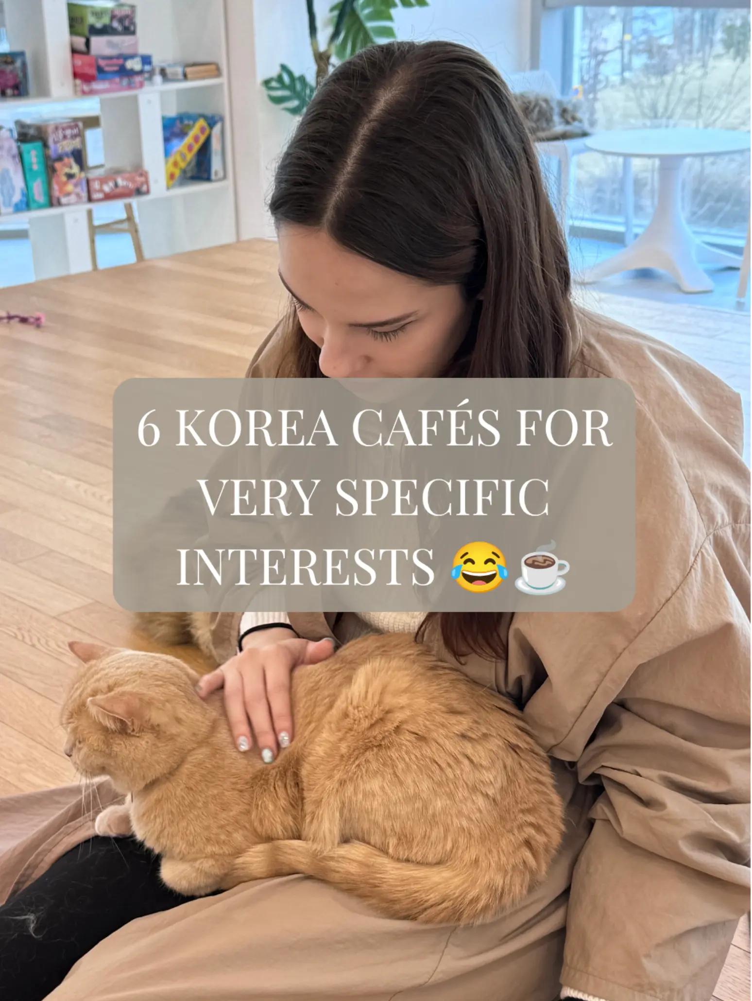 Korean Animal and Themed Cafes