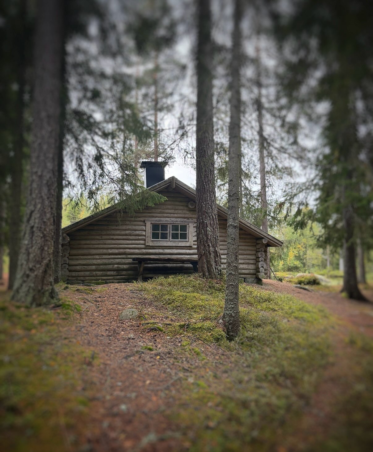 Säfsen Resort and Nearby Autumn Getaways