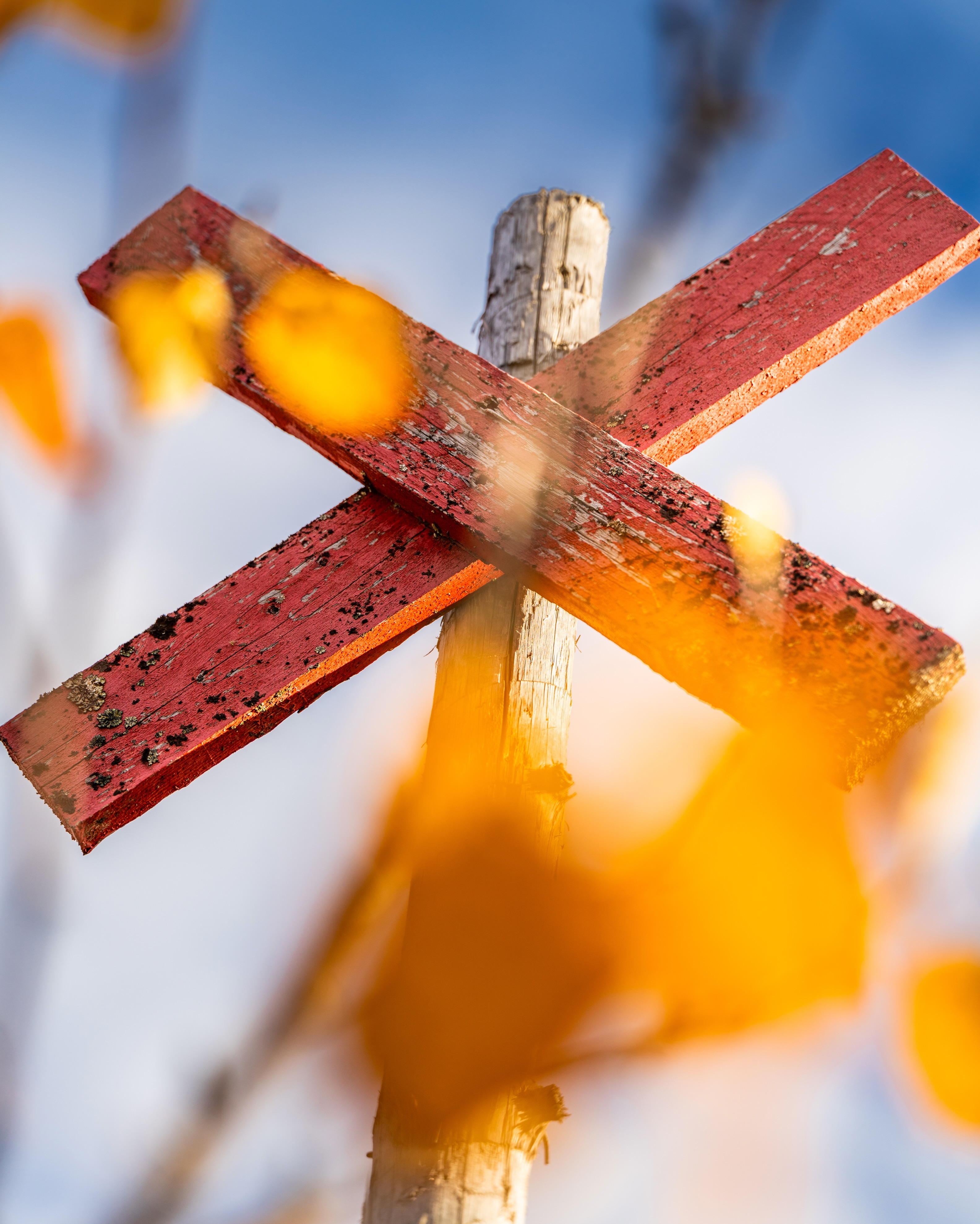 Autumn Views at Städjan-Nipfjället Reserve