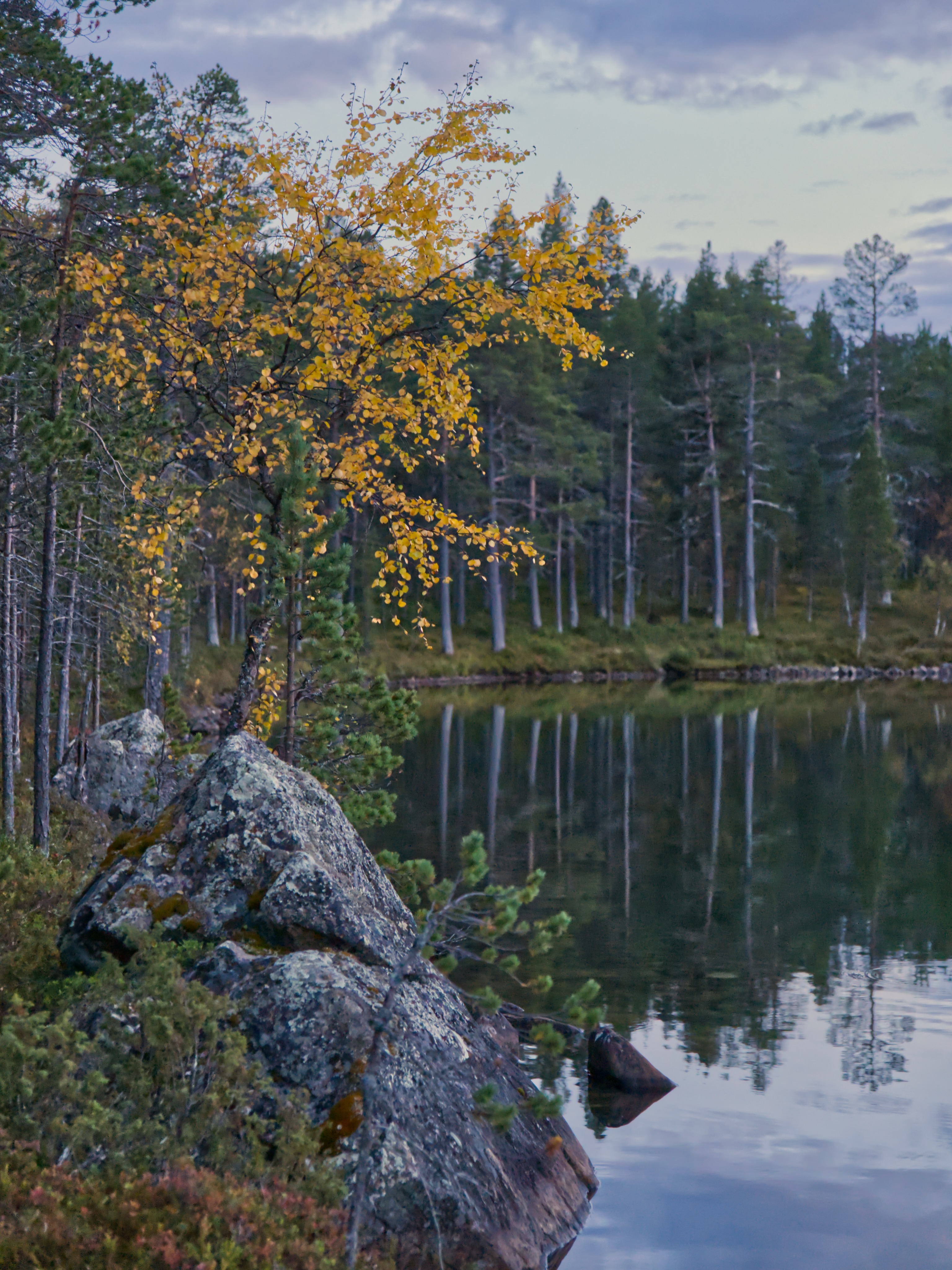 Hammastunturi Wilderness Area's Autumn Colors