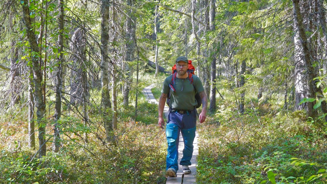 Seitseminen National Park Trails and Old Forest
