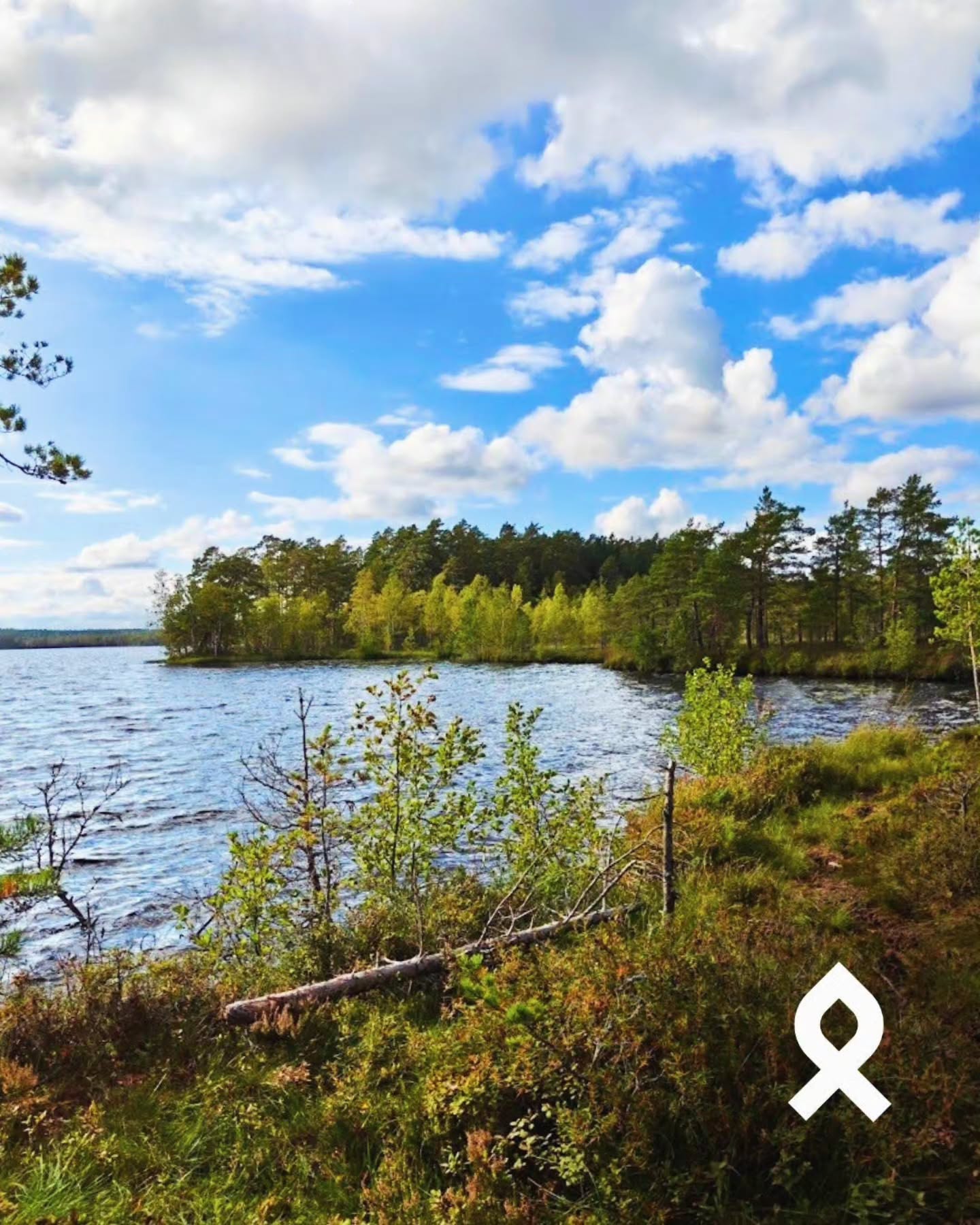 Kurjenrahka National Park's Savojärven Kierros Trail