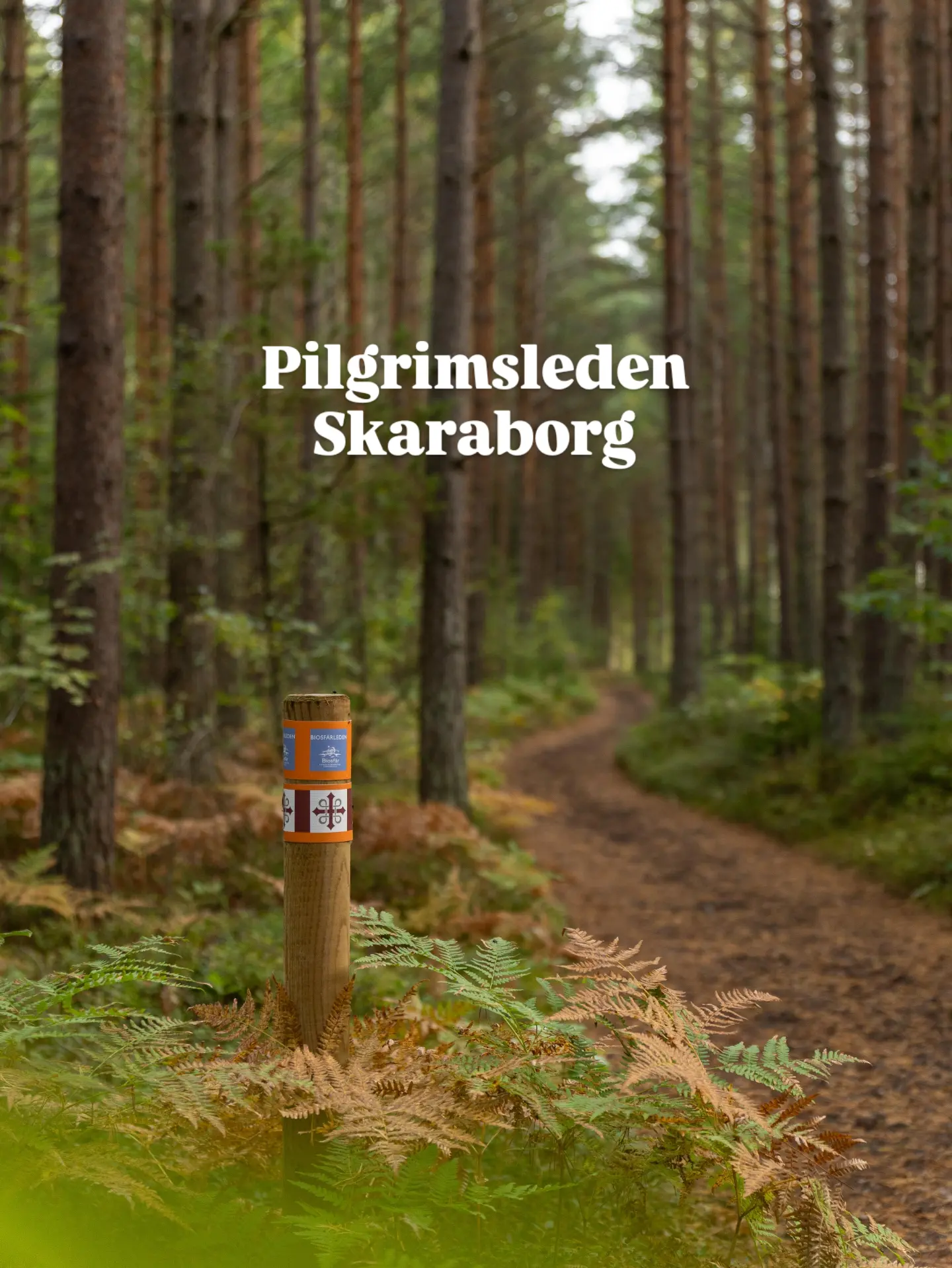 15 Landmarks in Västra Götalands län
