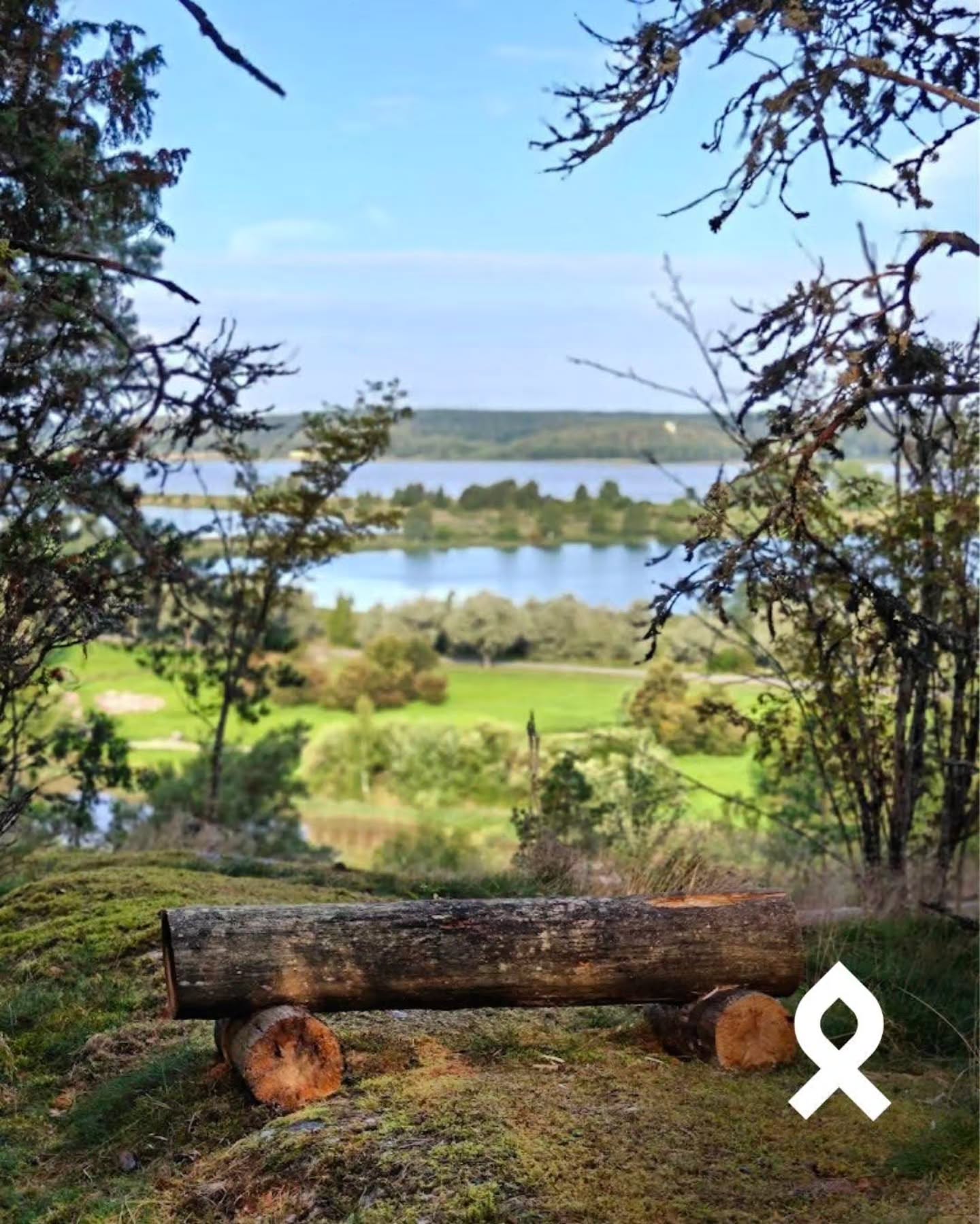 New Salo Trails Offer Forest and Bay Views