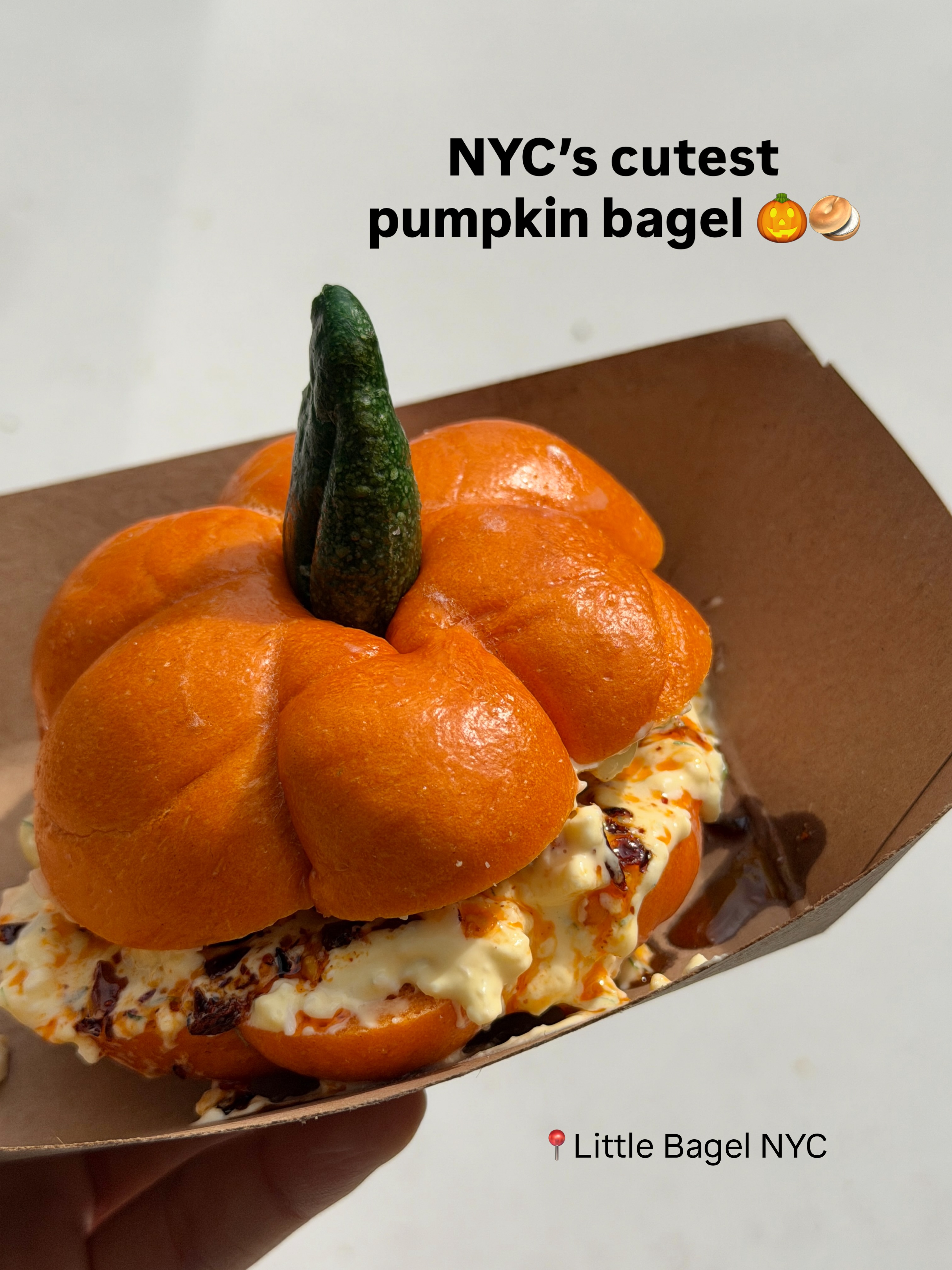 Fort Greene Park Greenmarket Bagel Delights