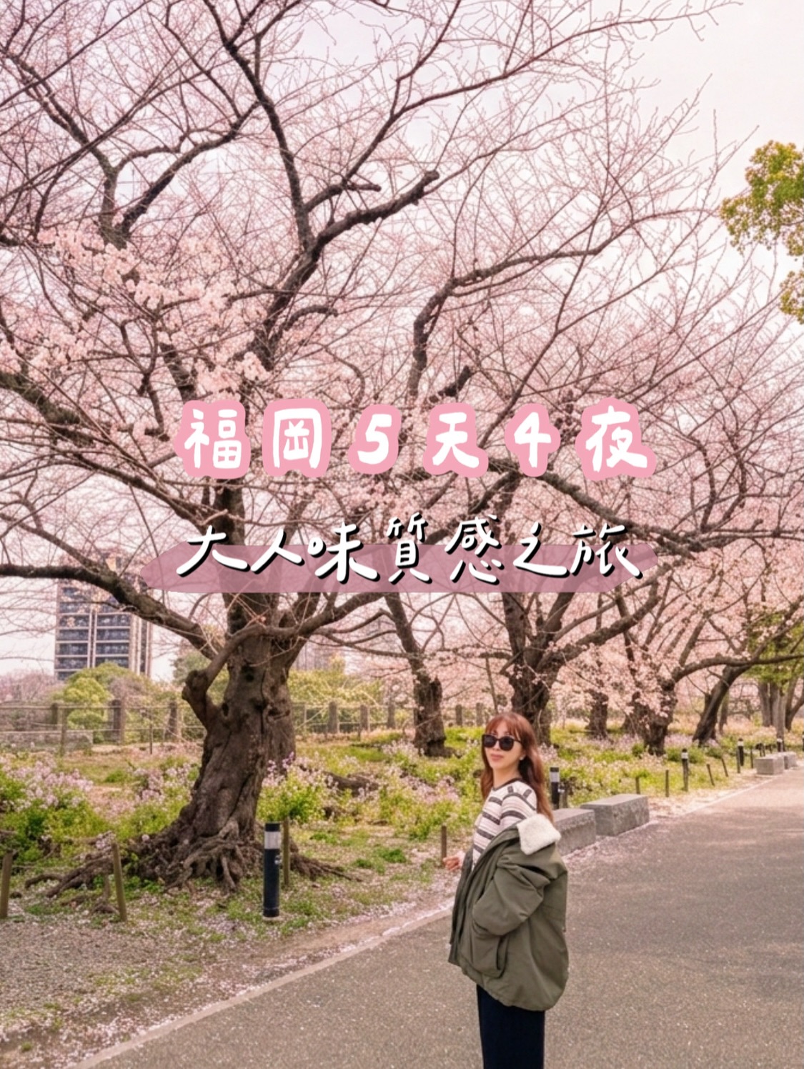 Fukuoka Food, Shopping, and Sightseeing Itinerary