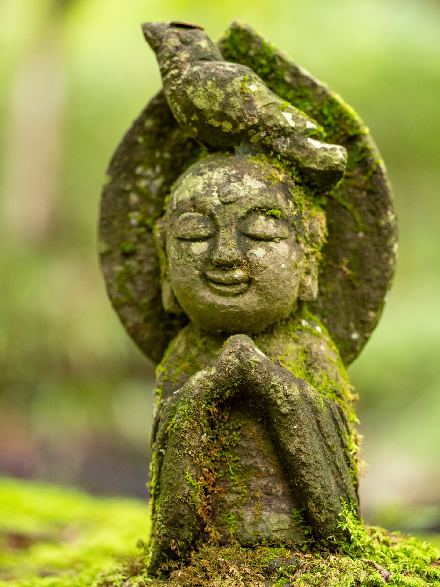 Sanzen-in Temple's Green Moss and Jizo Statues